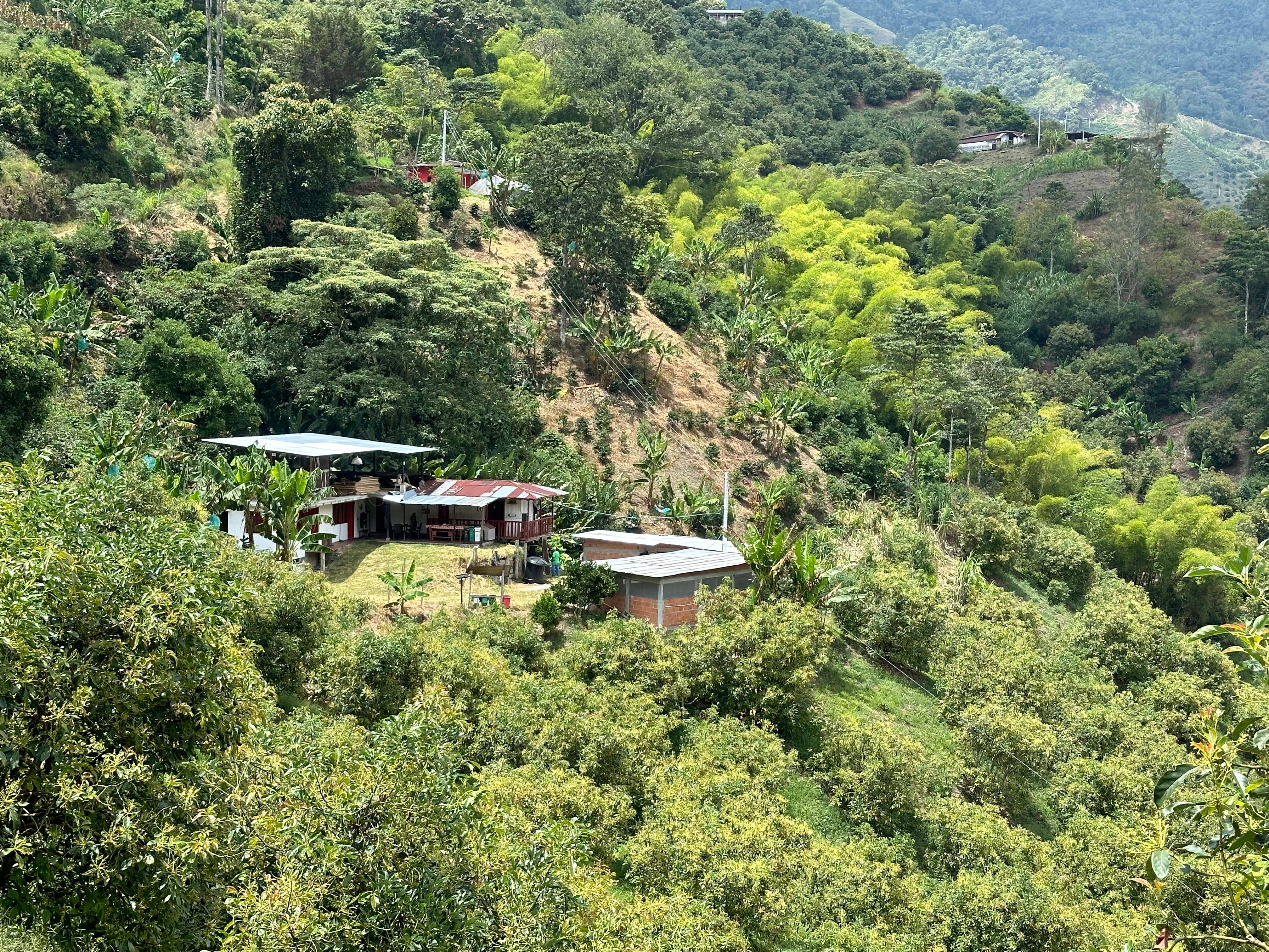 El Trapiche