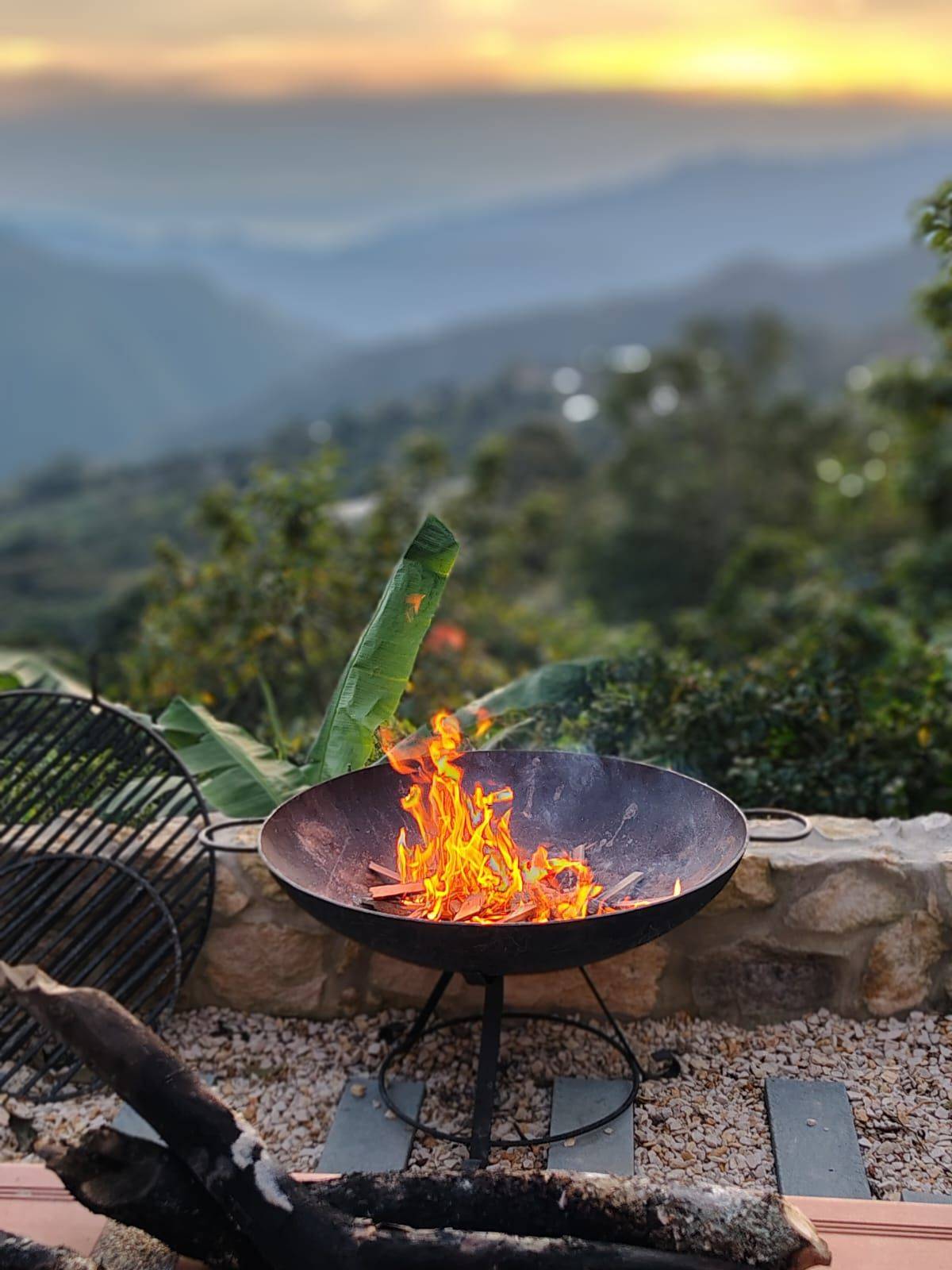 Family-run coffee farm Aveki in Colombia