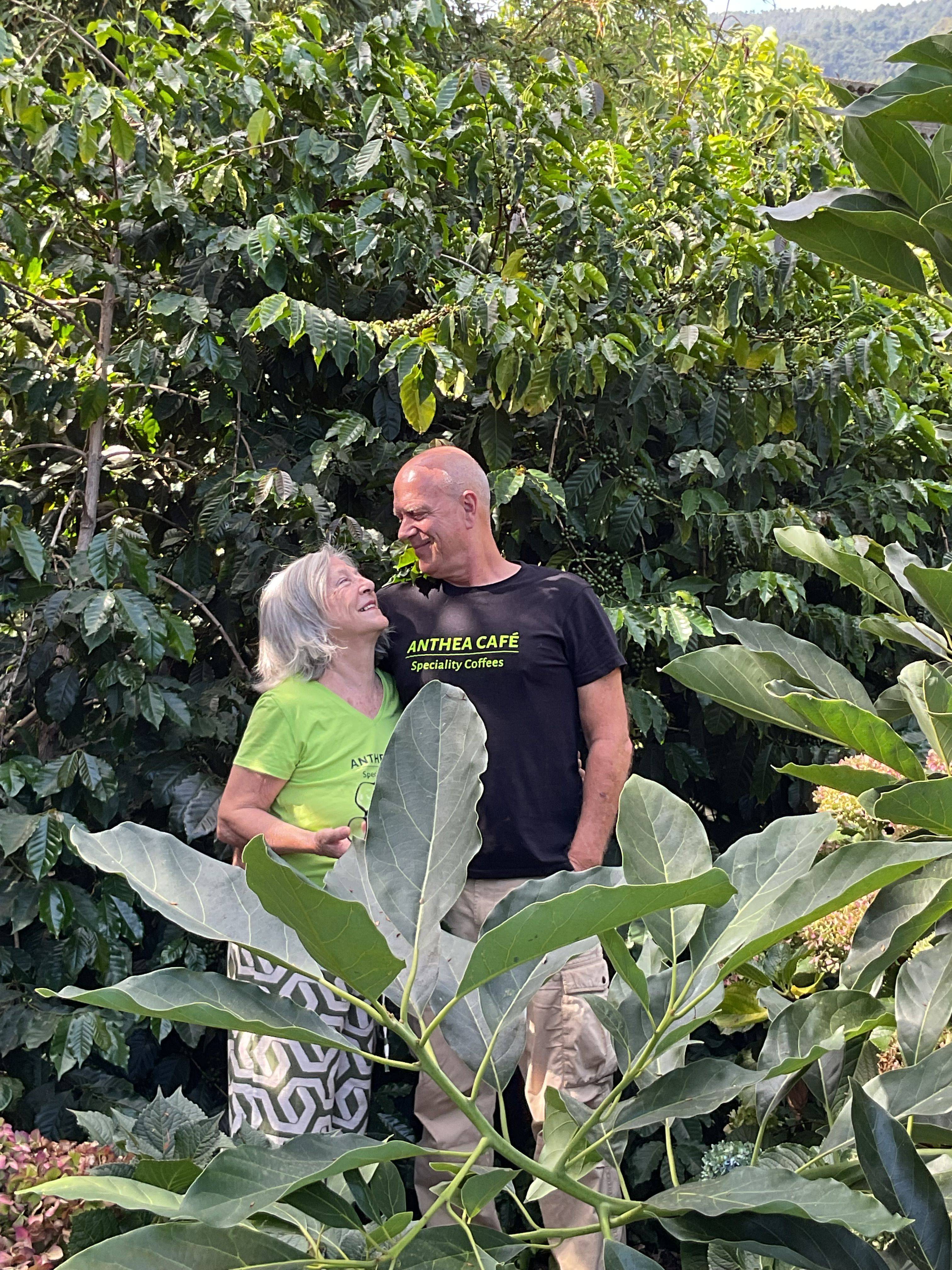 Gesha and Castillo coffee grown by Anthea Café in La Palma