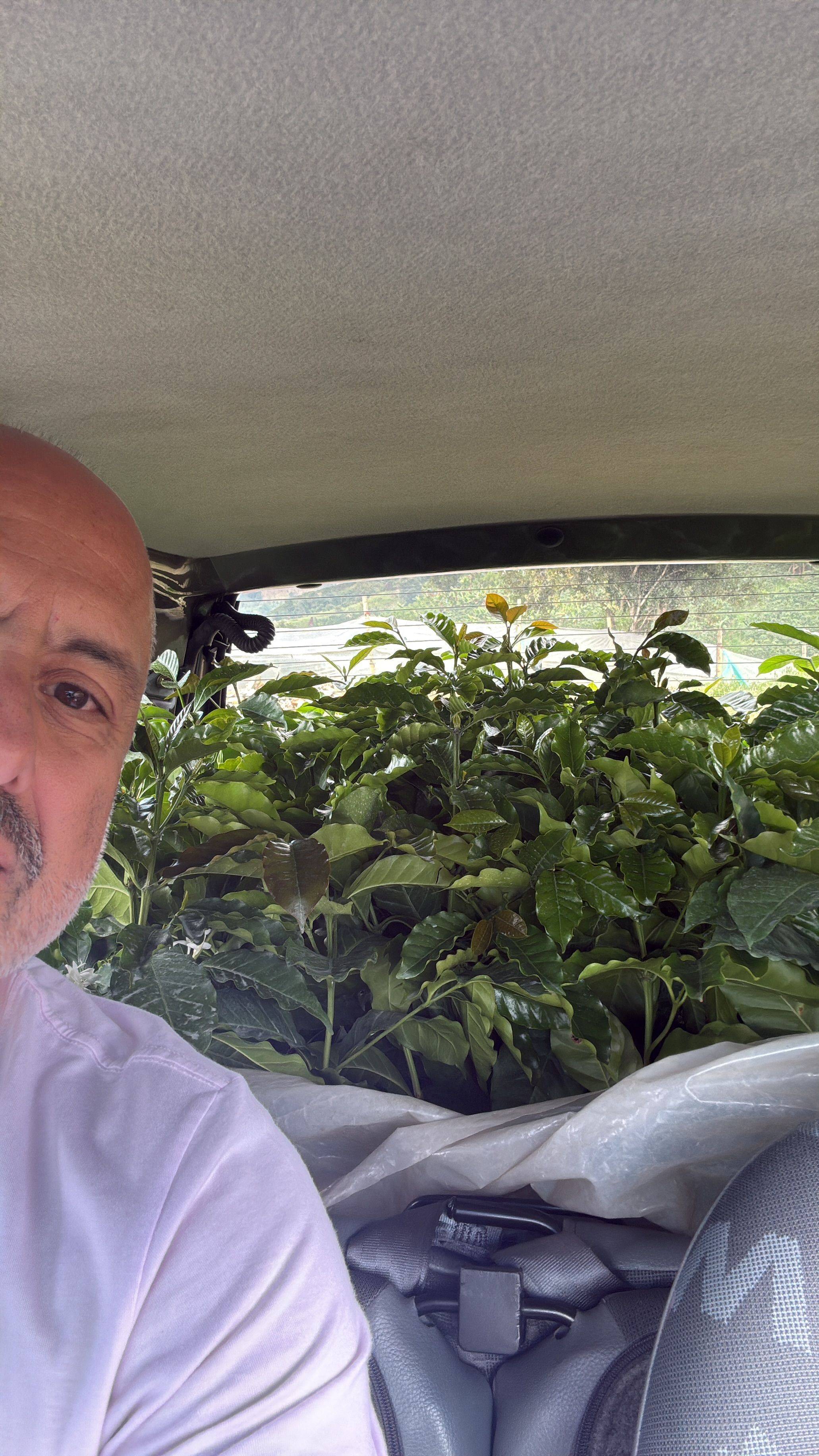 Family-run coffee farm Finca El Mango in Colombia