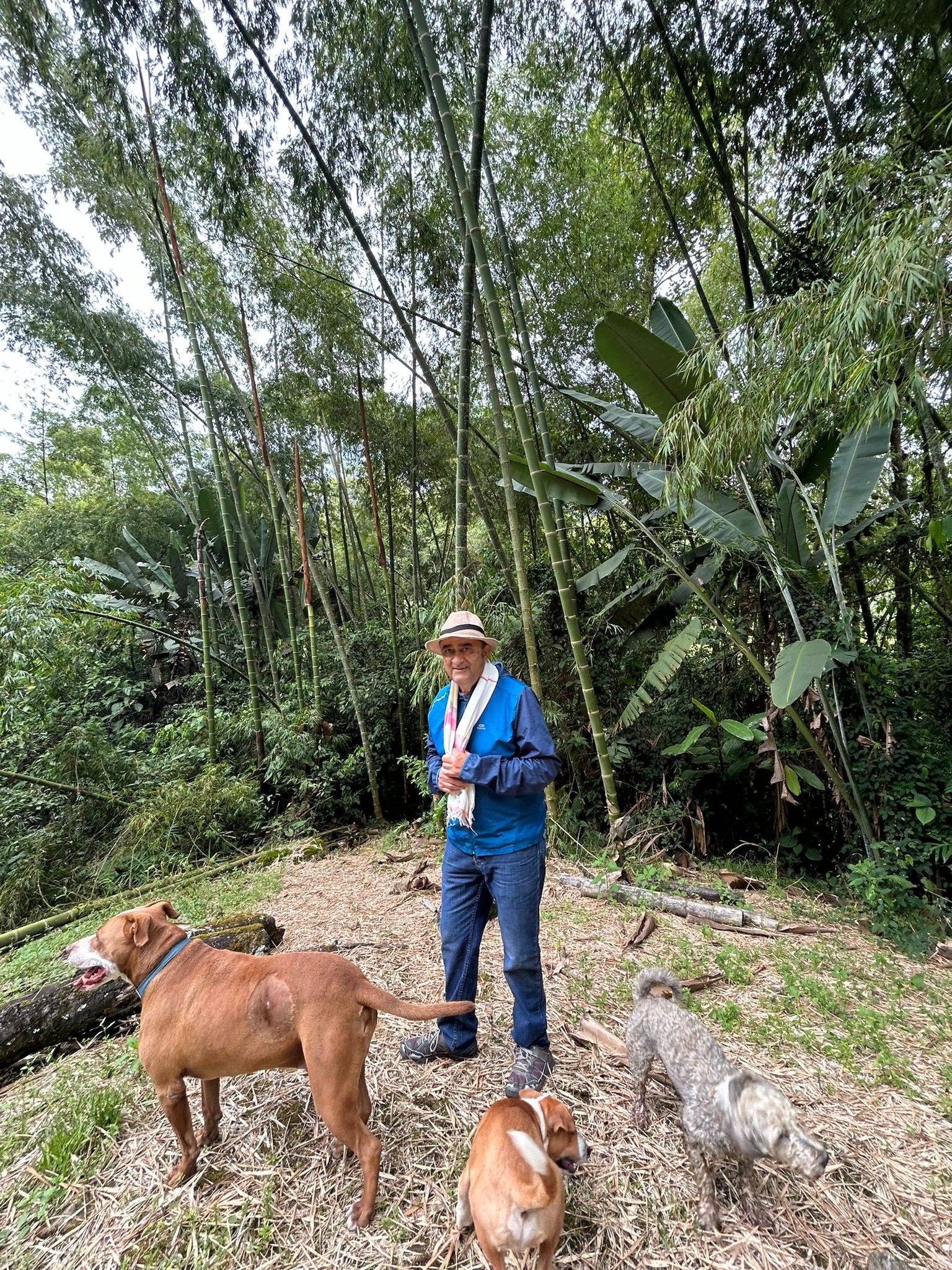 Honey processed coffee from Finca Arkdia de Guacas in Colombia