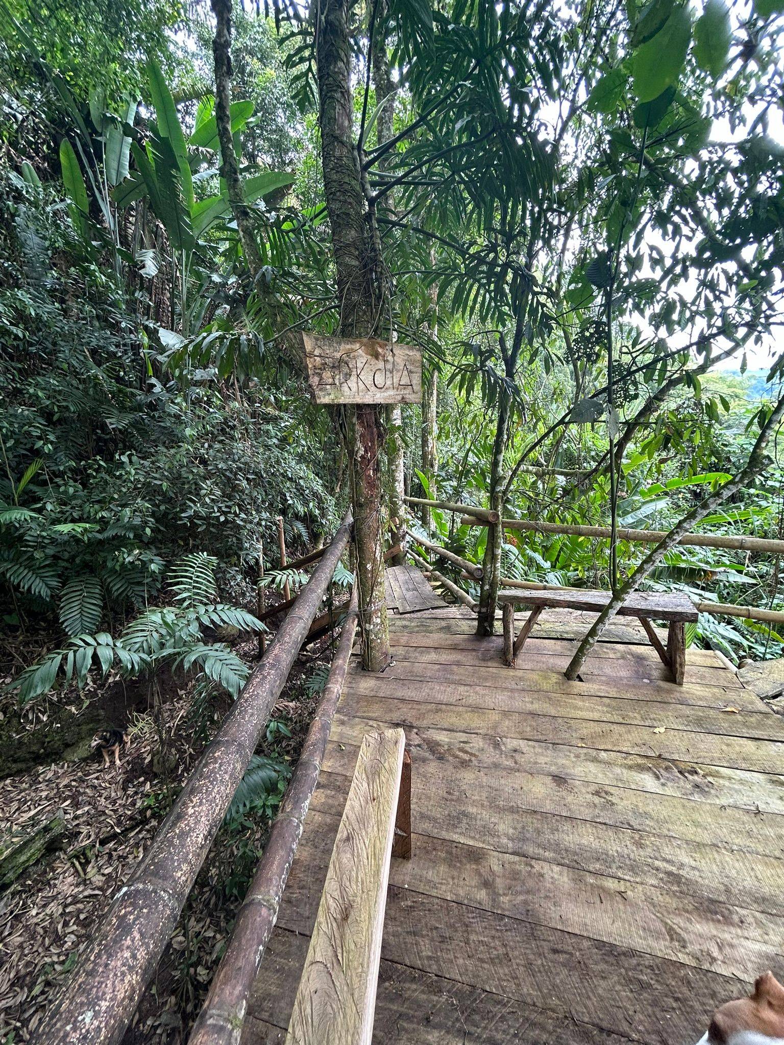 Carbonic maceration coffee from Finca Arkdia de Guacas