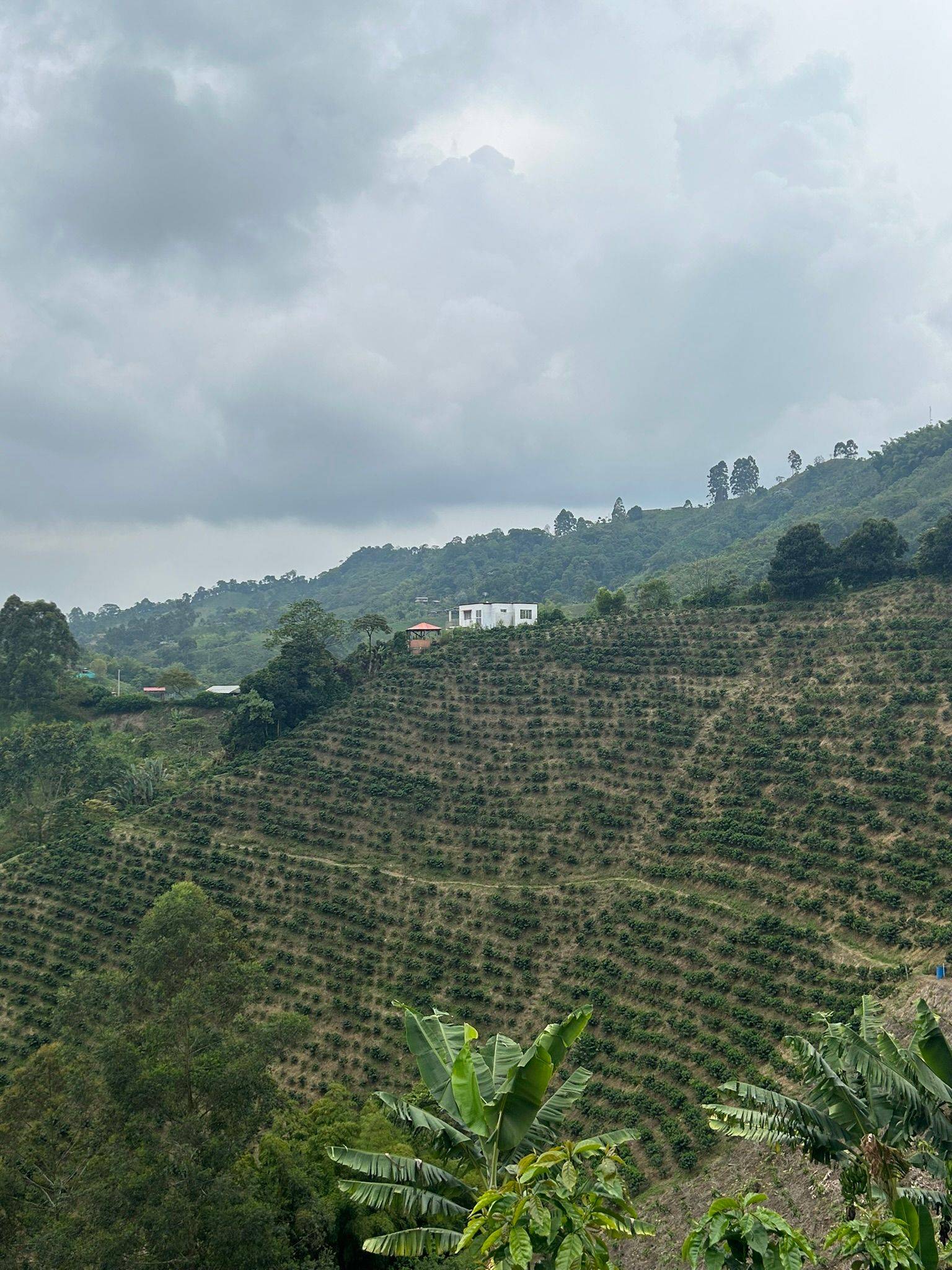 Water treatment at Finca Arkdia de Guacas coffee farm