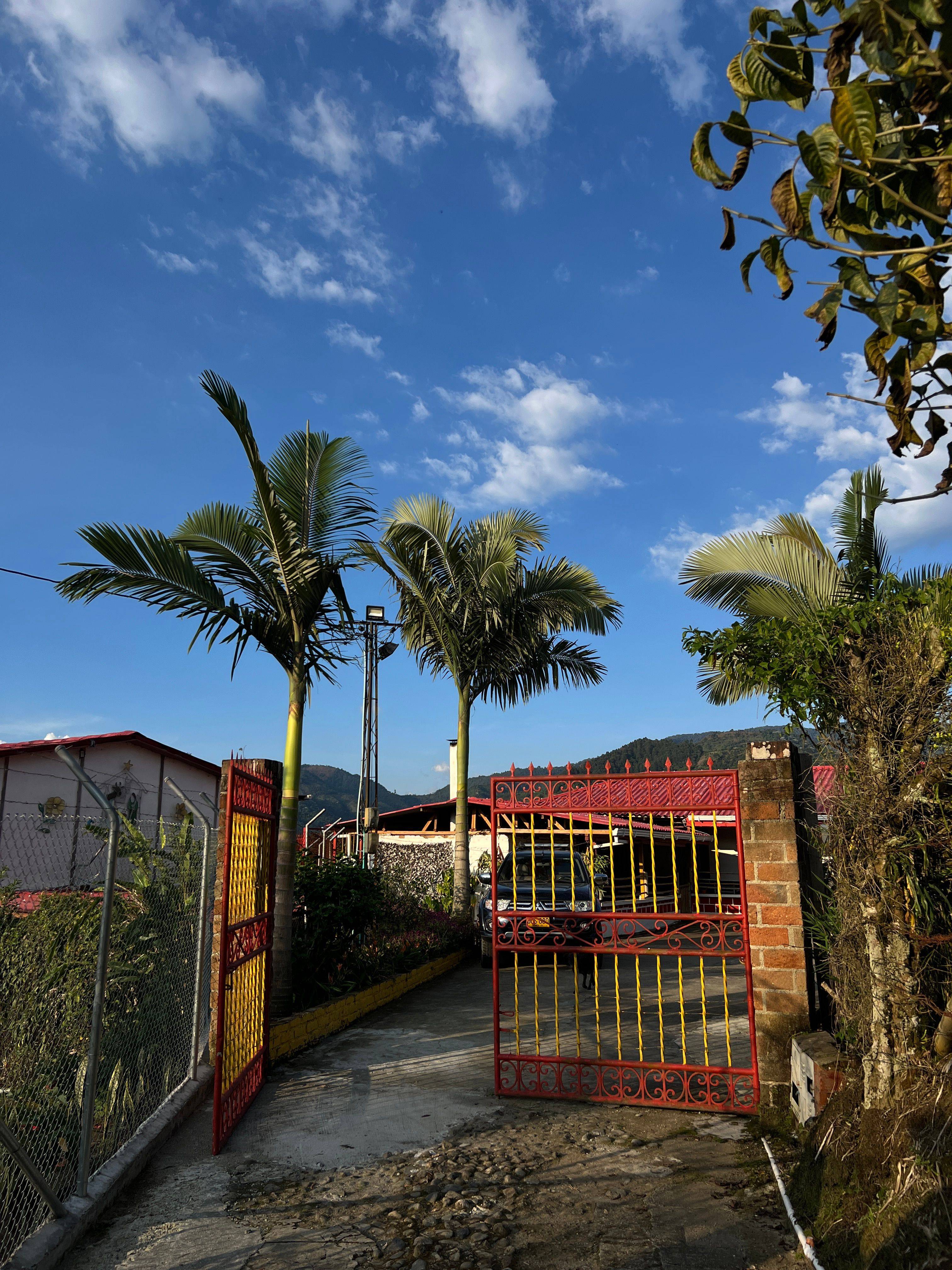 Natural fertilizer from organic coffee waste at Finca Arkdia de Guacas