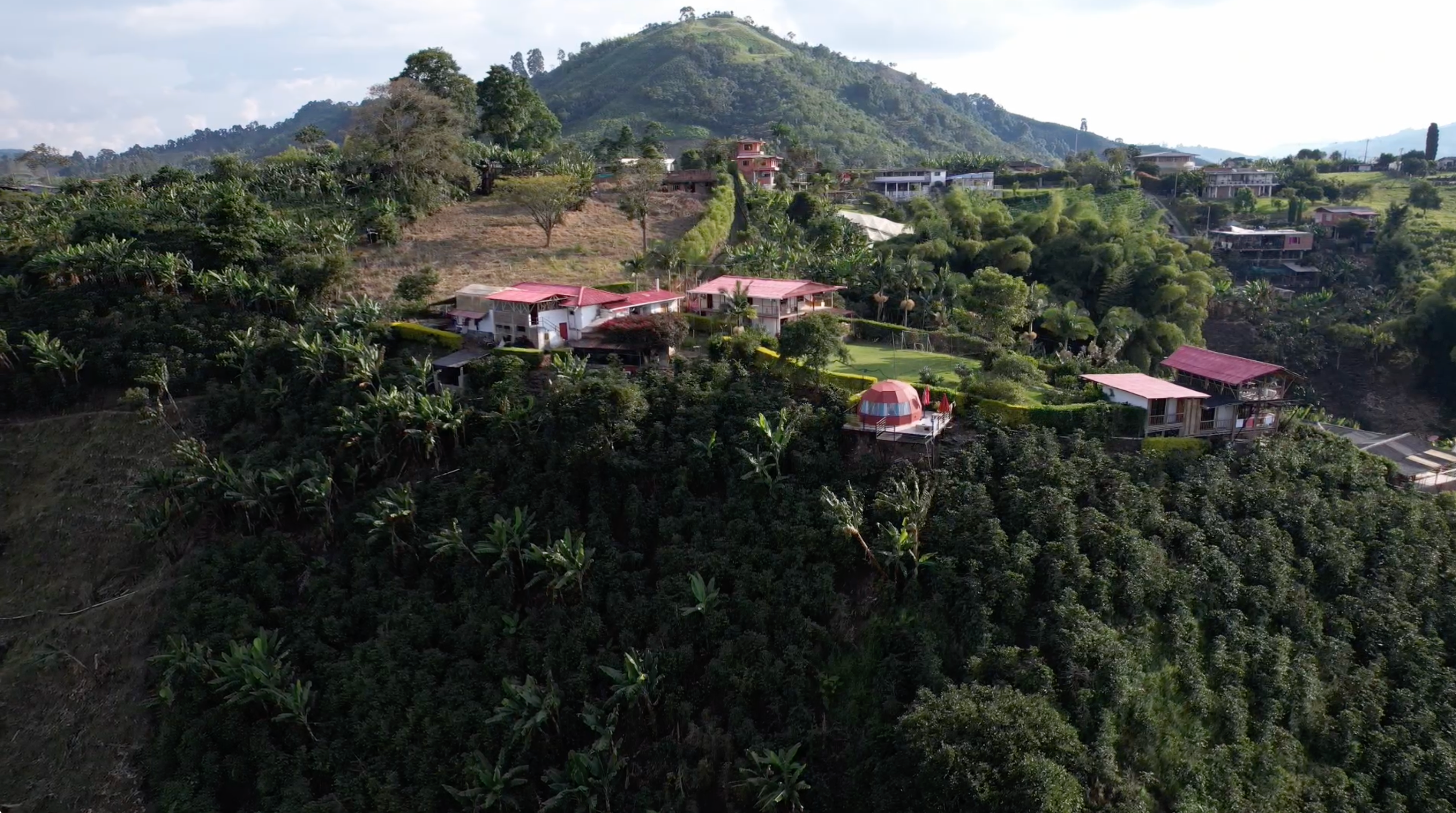 Specialty coffee farm Finca Arkdia de Guacas in Risaralda, Colombia