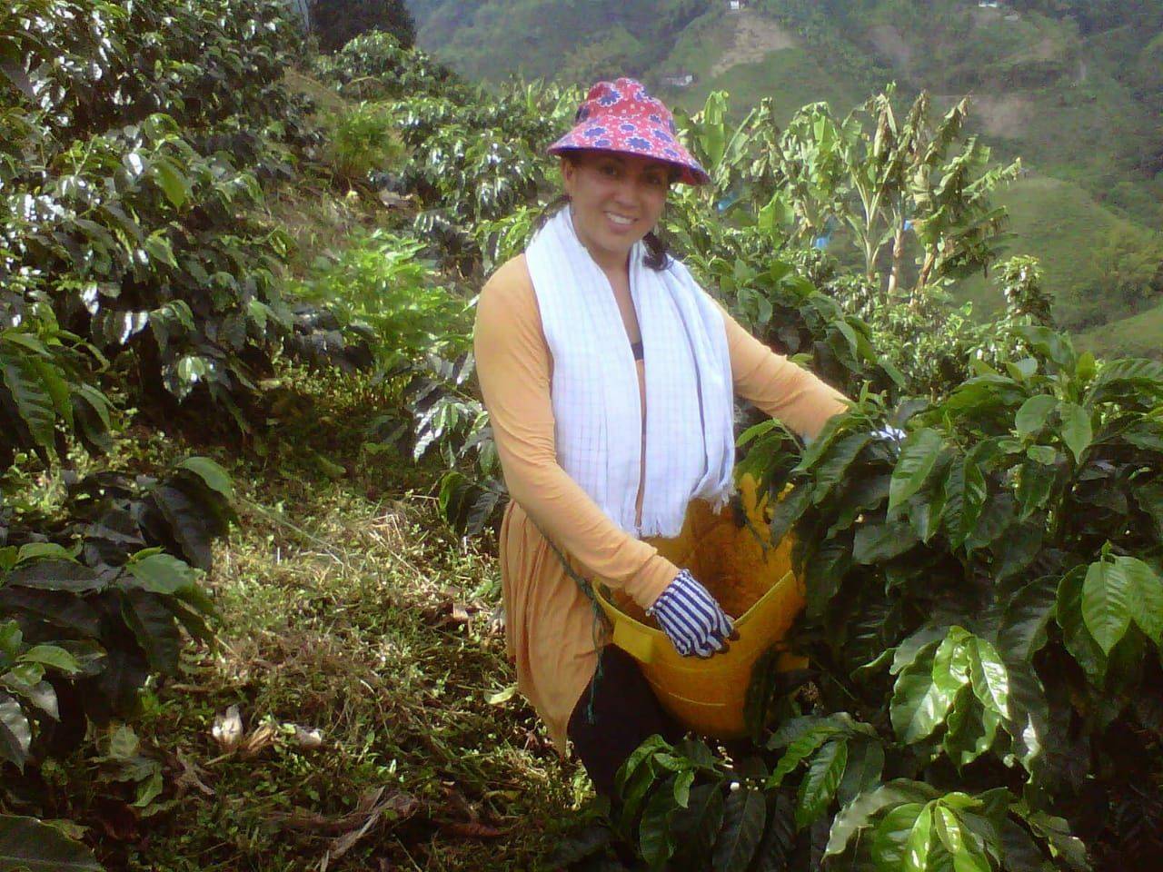 Quality-focused coffee production at Finca Arkdia de Guacas