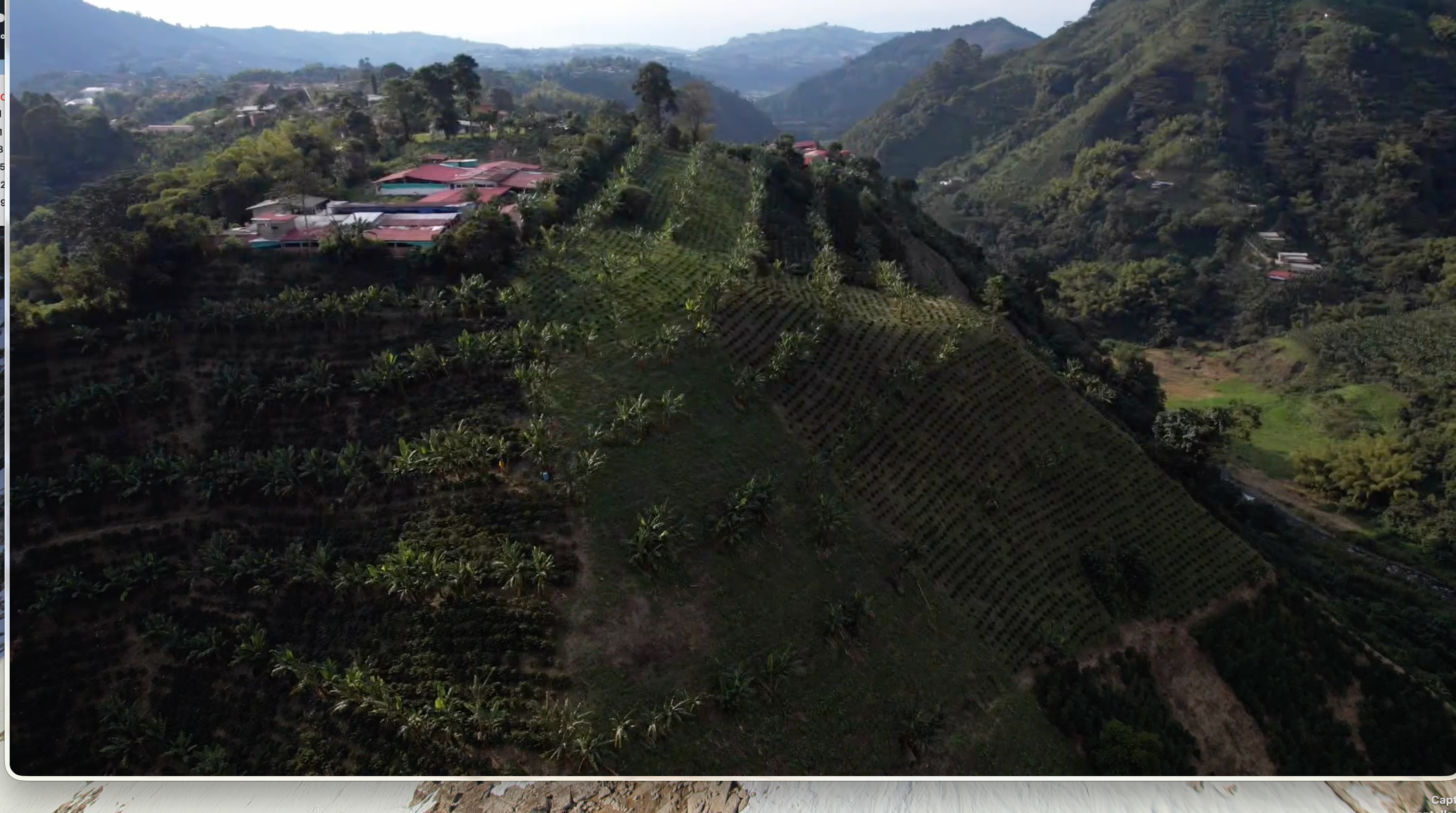 Women-led coffee farm Finca Arkdia de Guacas in Colombia