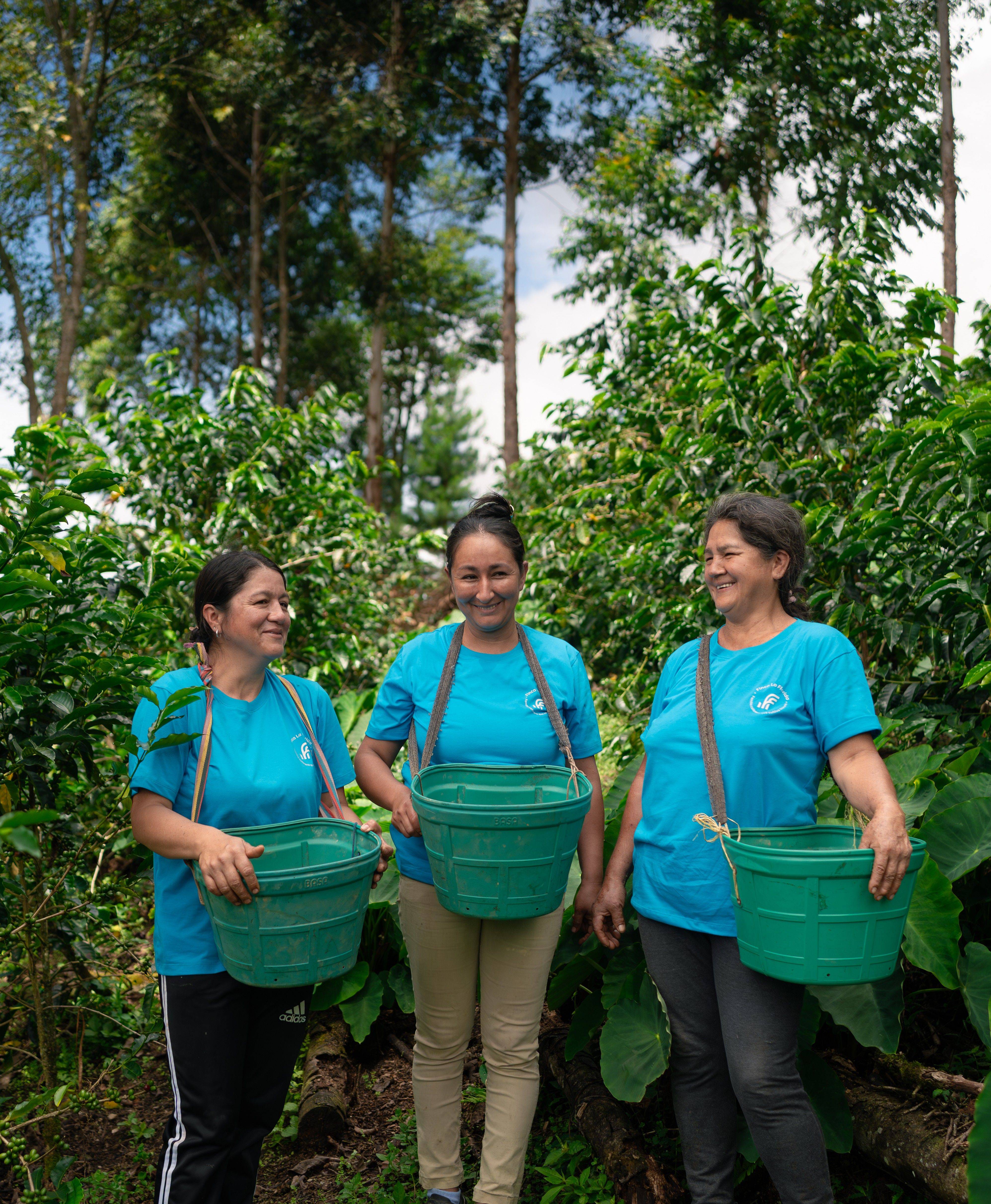 Specialty coffee farm Finca La Florida in Amazonas, Peru