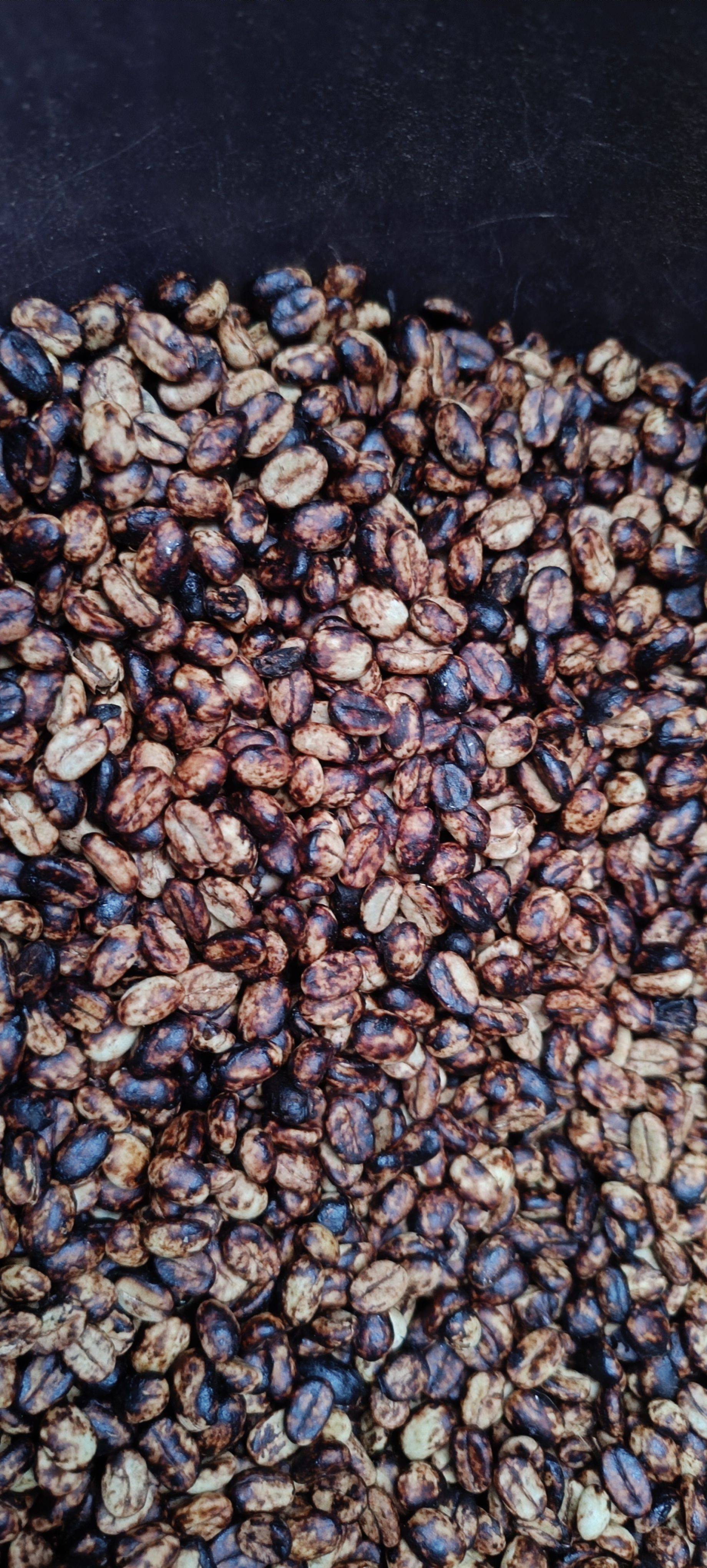Finca la Falda / Baluar – Gallery 15