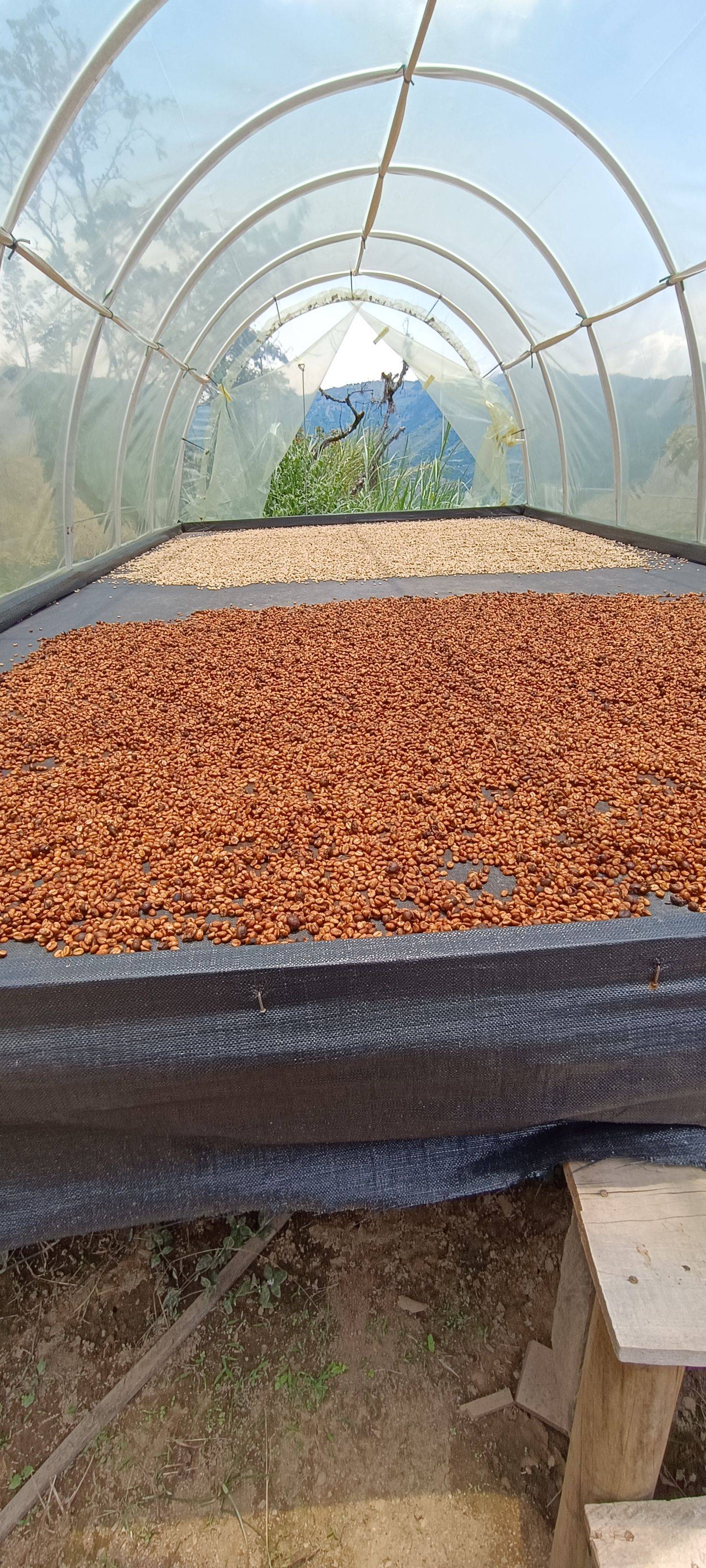 Finca la Falda / Baluar – Gallery 3