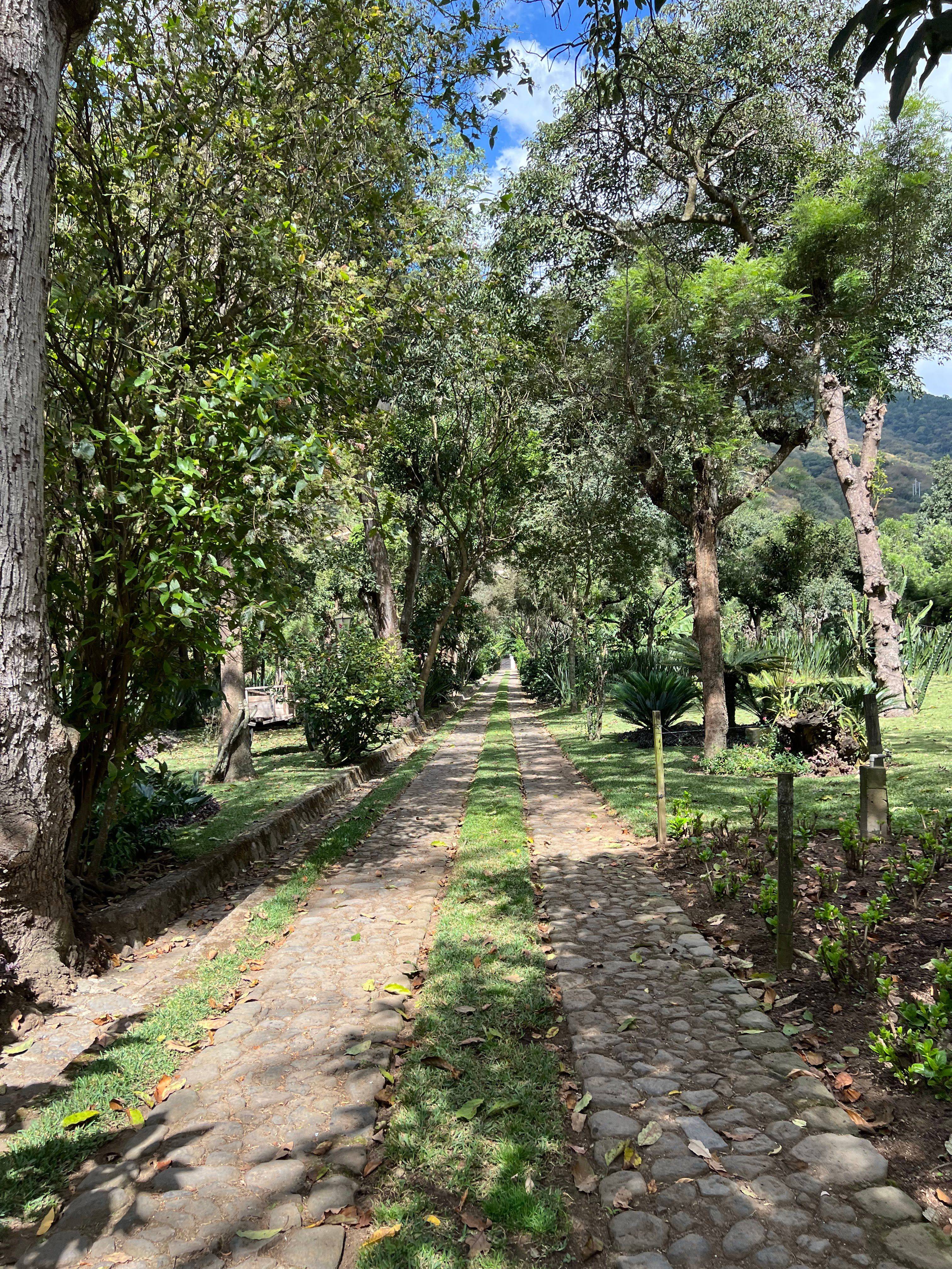 Camino de piedra rodeado de árboles en el entorno histórico de Finca San Agustín, Antigua Guatemala.