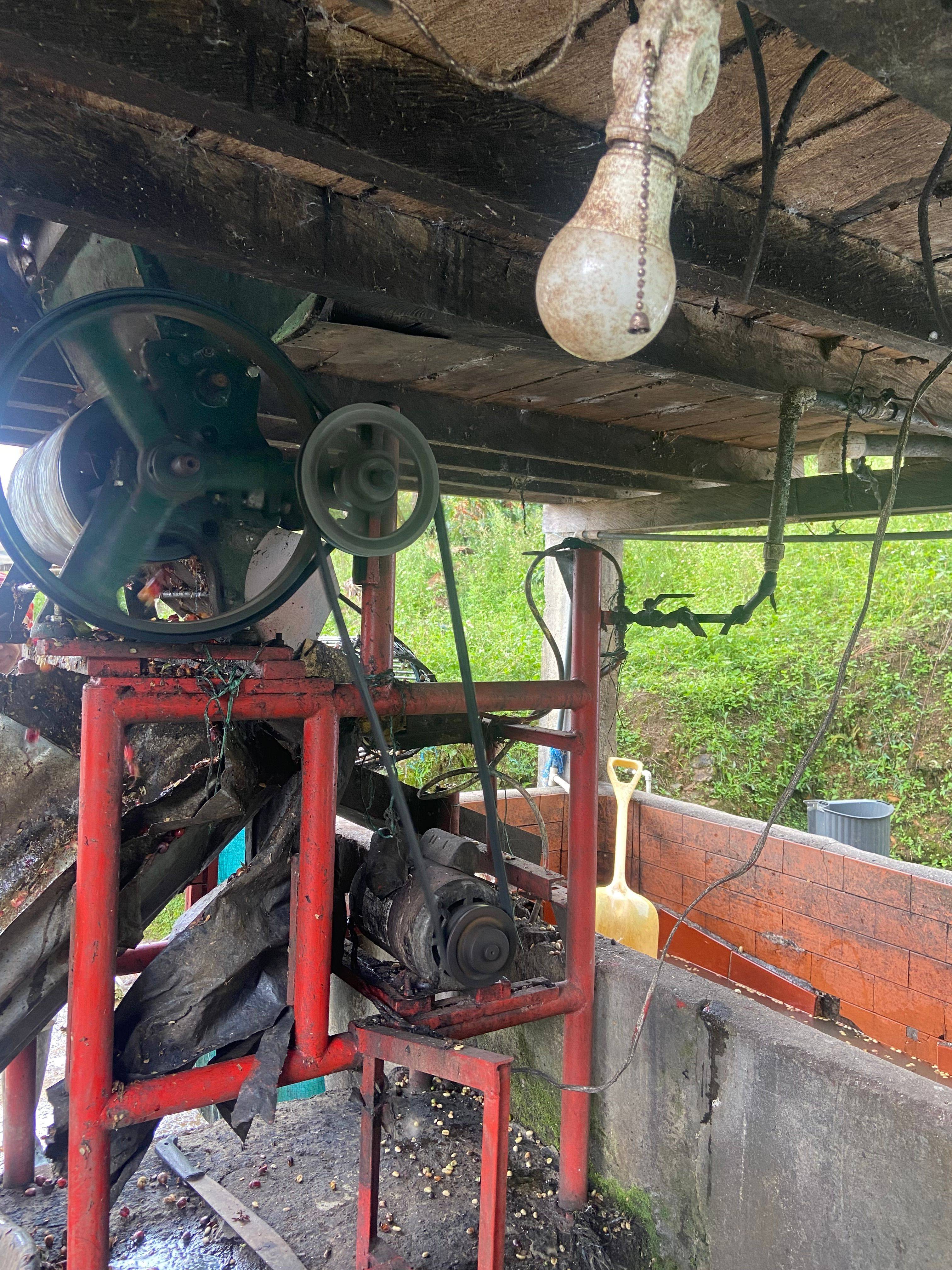 Coffee pulping equipment at Finca El Brasil / VALSA Coffee, used during post-harvest processing.