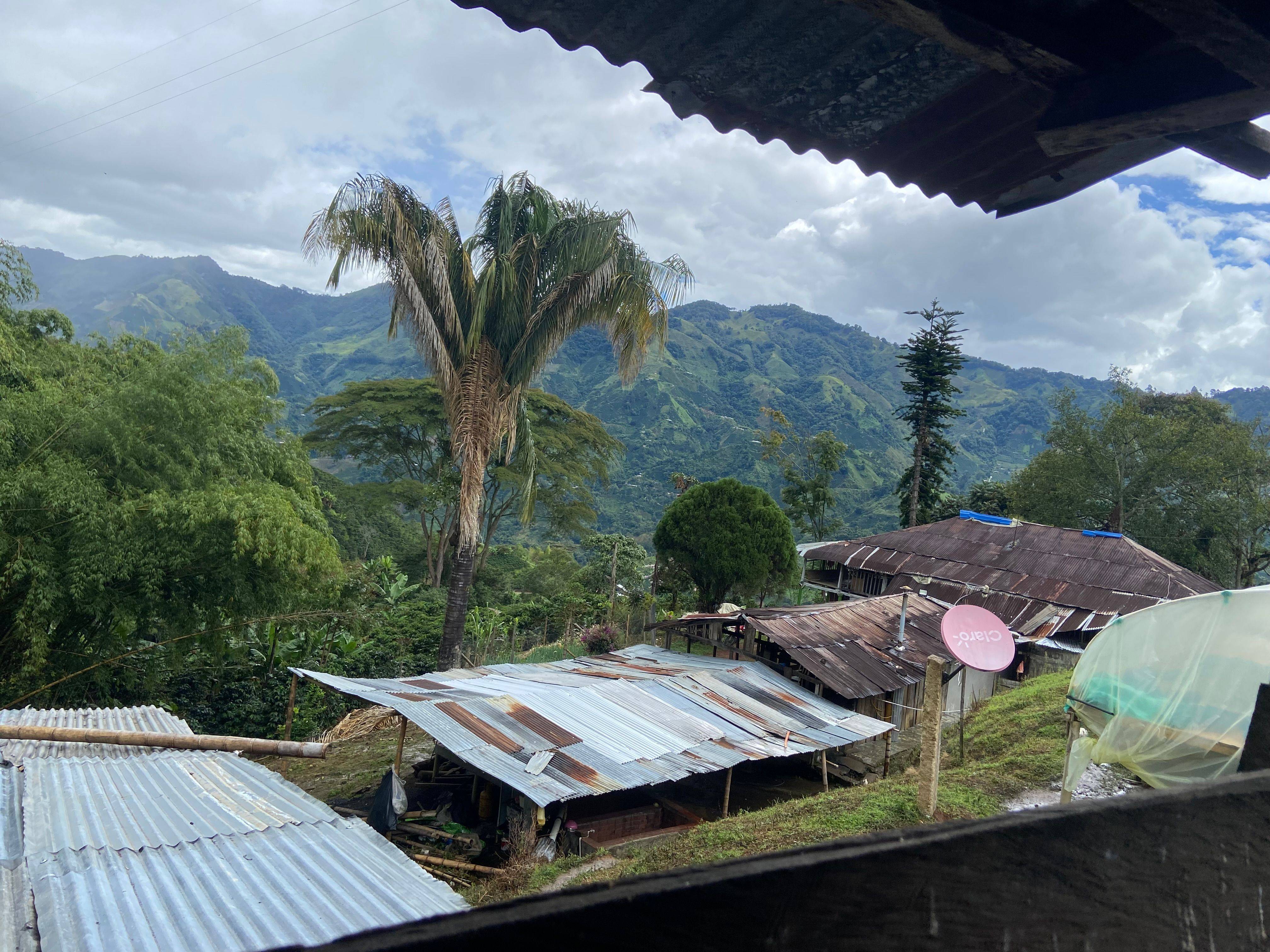 View from the coffee processing area over the farm buildings and green mountains at Finca El Brasil / VALSA Coffee.