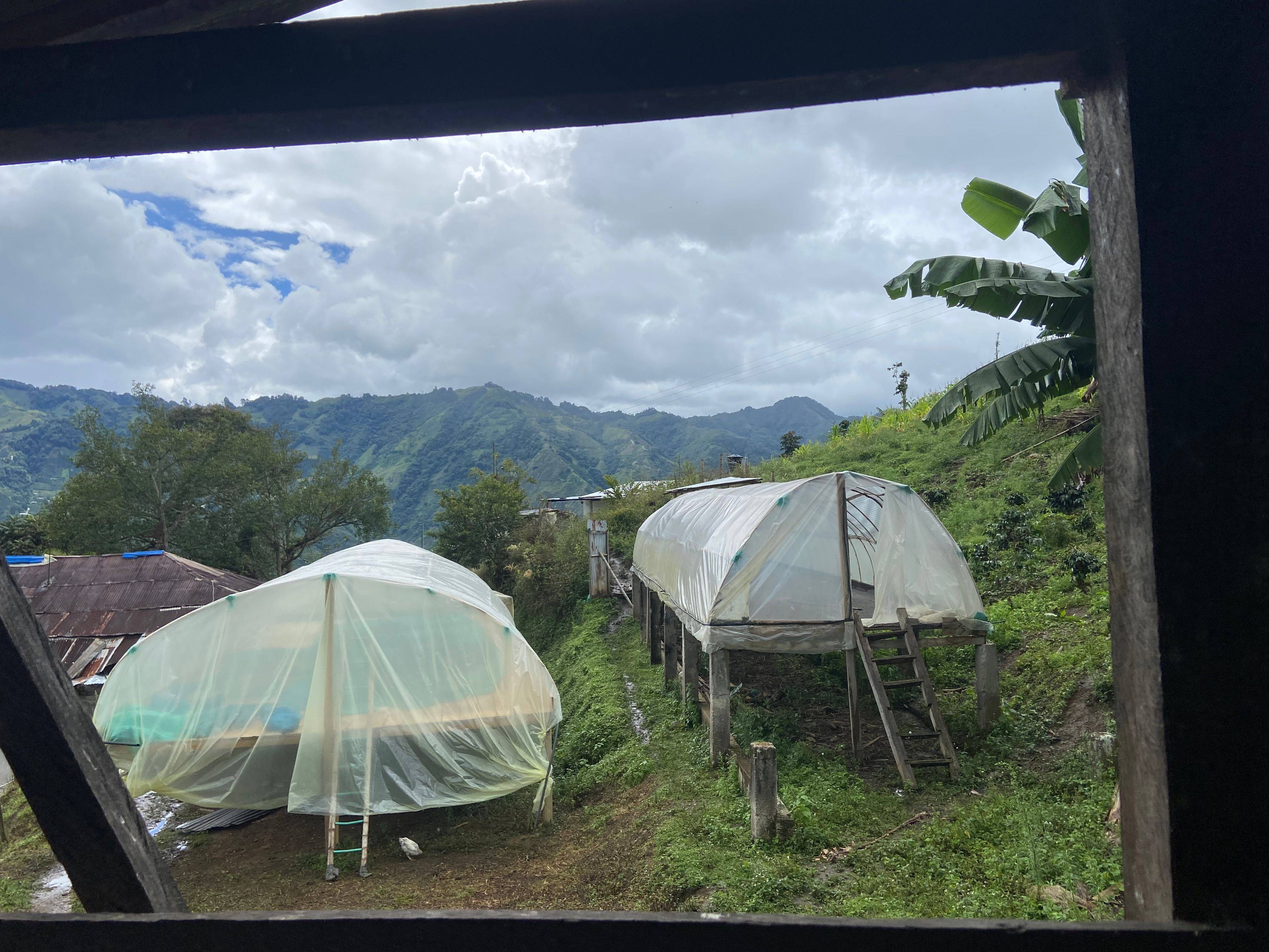 Estructuras elevadas y cubiertas para el secado de café rodeadas de paisaje montañoso en Finca El Brasil / VALSA Coffee.