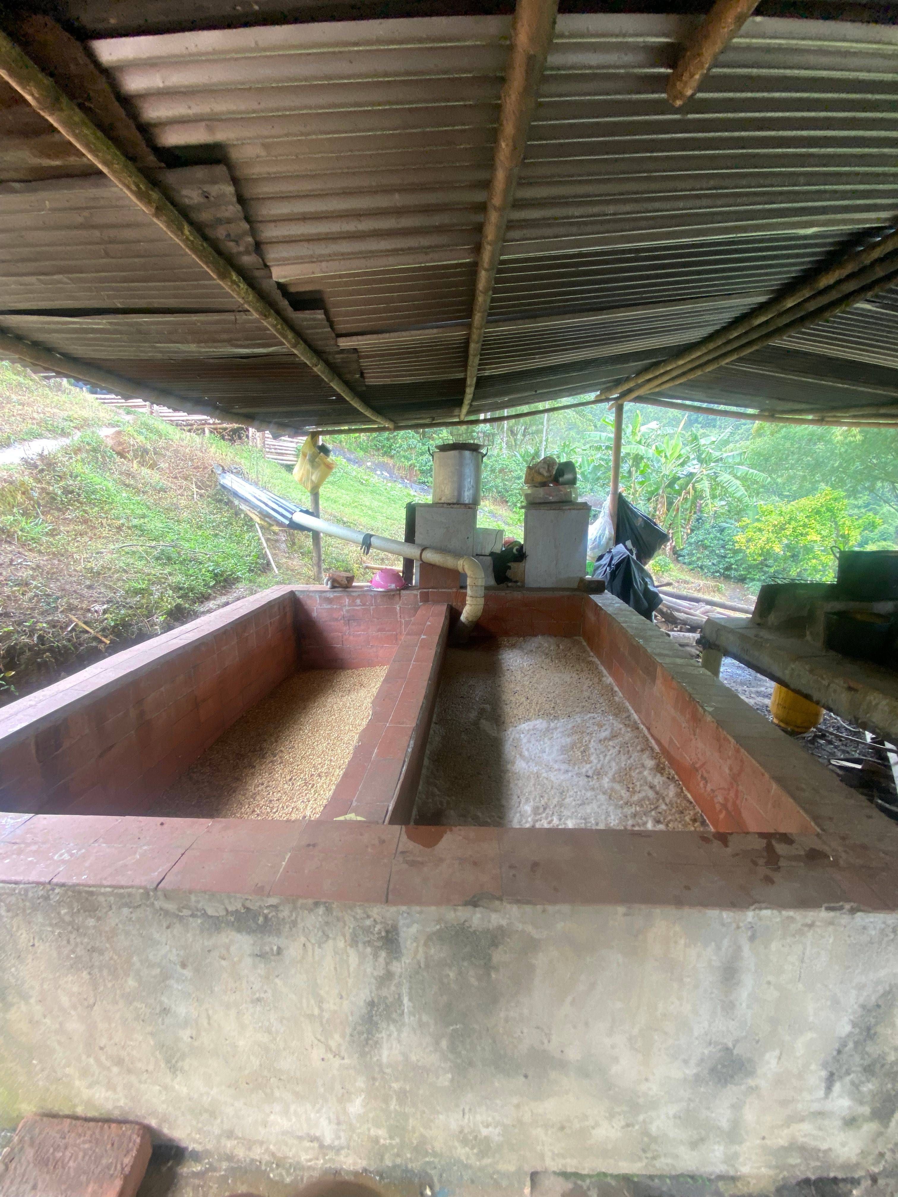 Fermentation and washing tanks used for coffee processing at Finca El Brasil / VALSA Coffee.