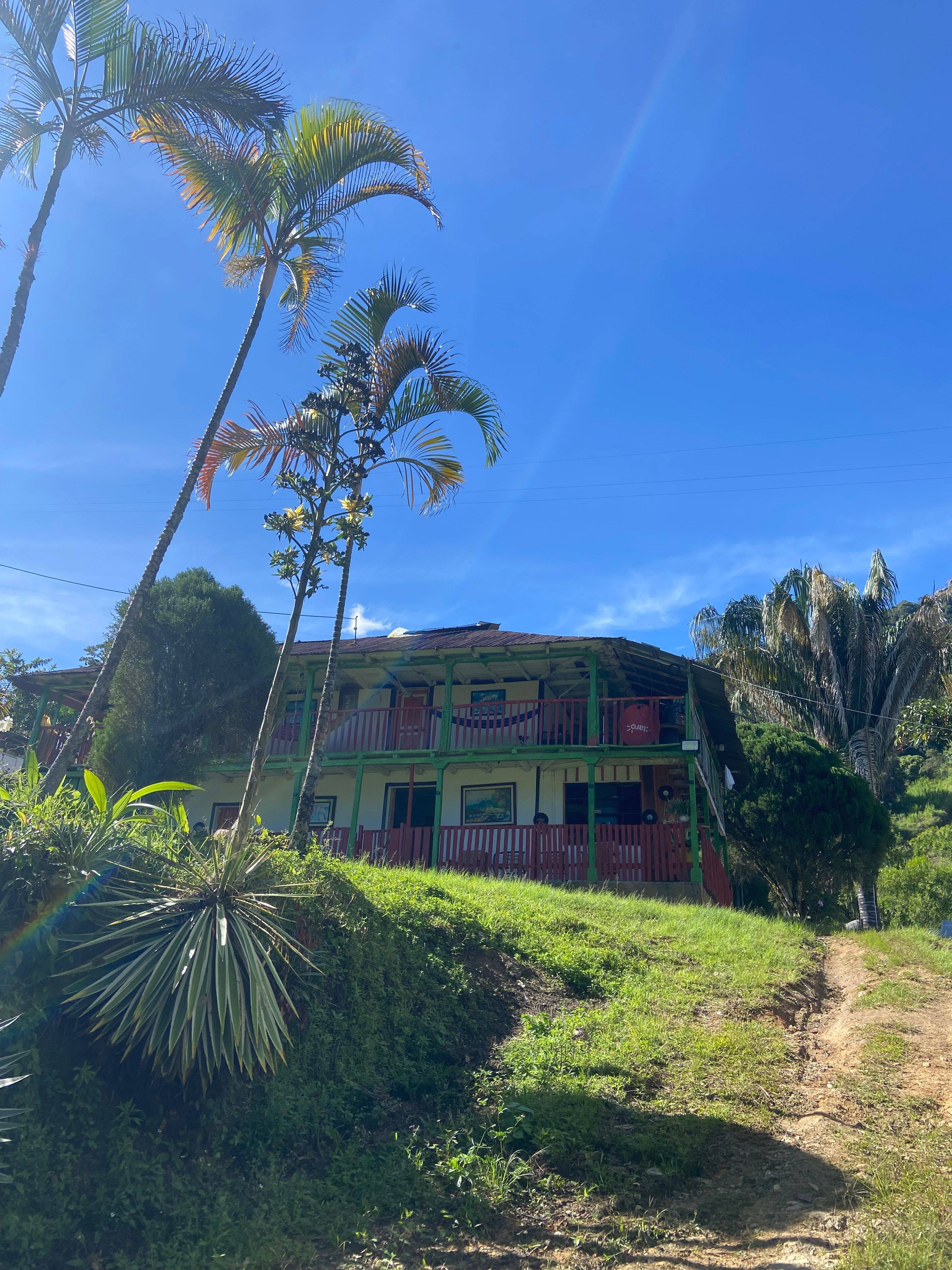 Traditional farmhouse at Finca El Brasil / VALSA Coffee surrounded by palms, greenery and blue sky.