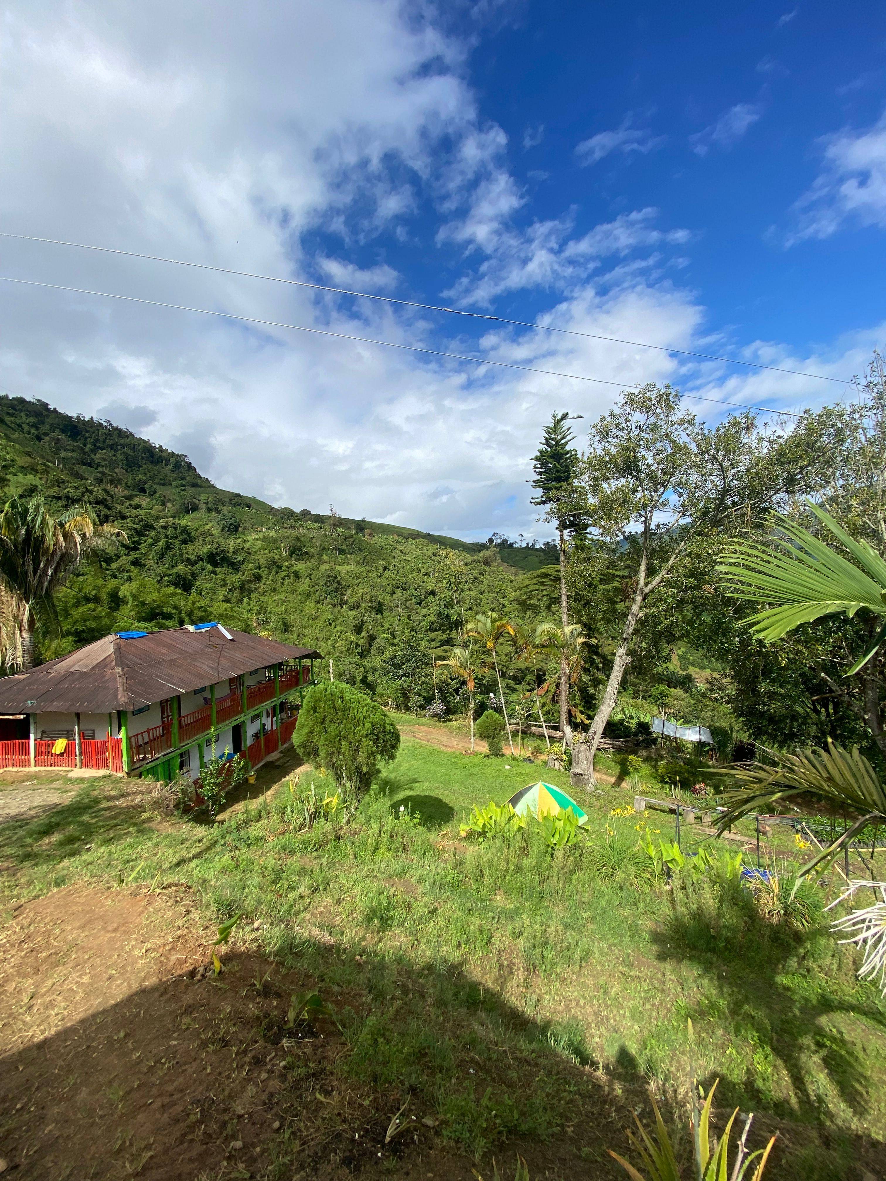 Mountain farm landscape with the farmhouse of Finca El Brasil / VALSA Coffee surrounded by coffee fields and trees.