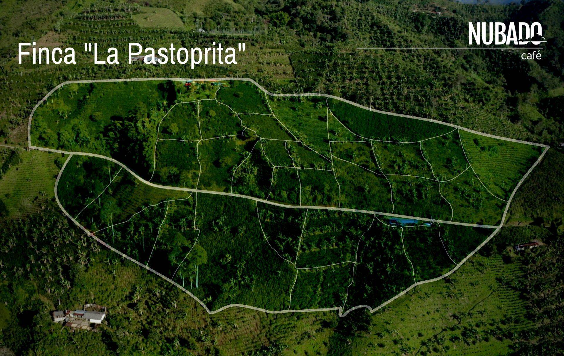 Aerial view outlining La Pastorita farm by Café Nubado in Manzanares, Caldas.