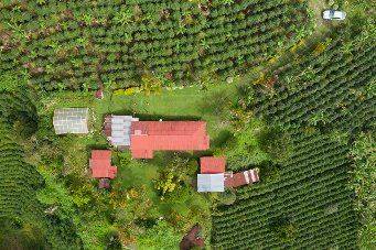 Aerial view of the buildings and coffee fields at La Pastorita farm in Caldas.