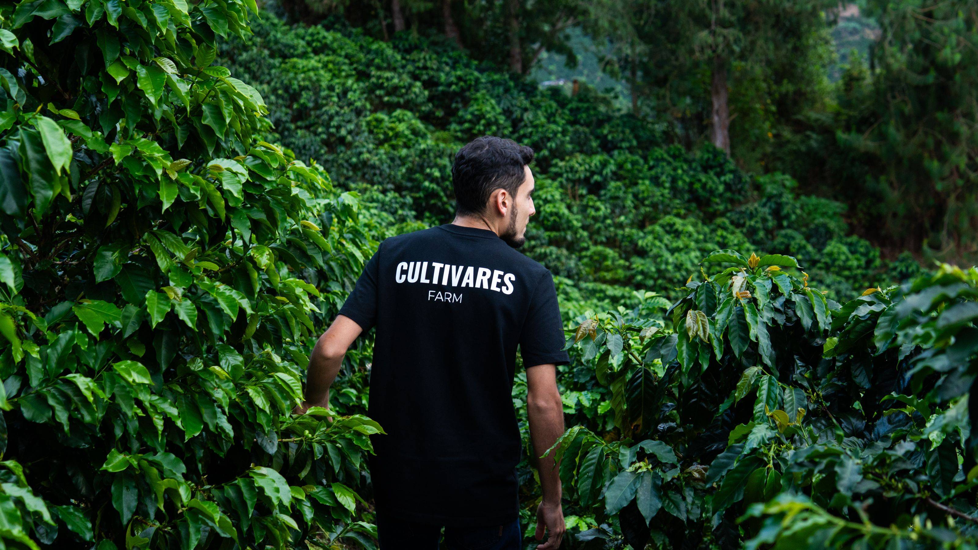 Finca Cultivares Galerie 1