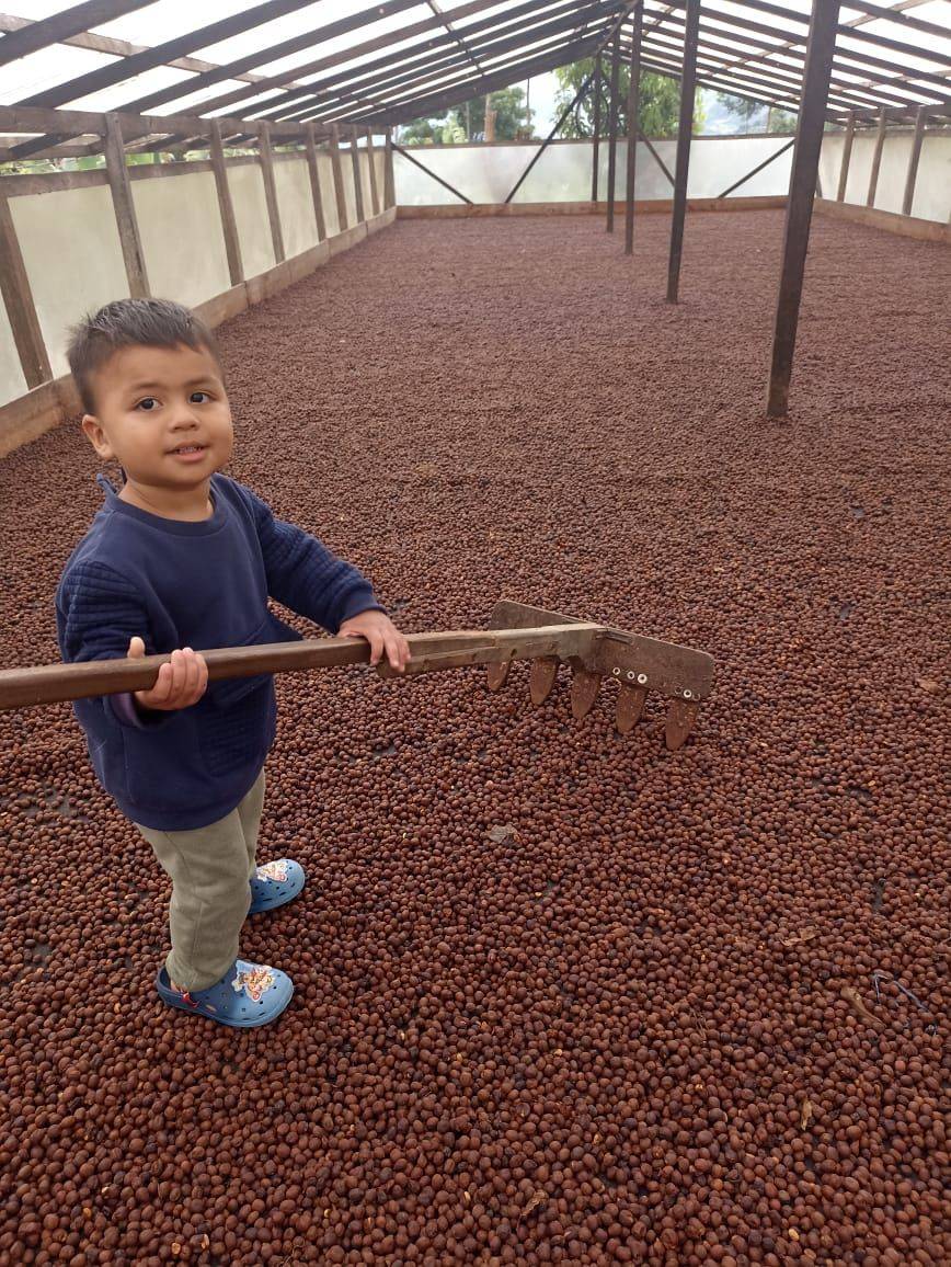 Las Brisas Coffee Farm S.A.S. Galerie 12