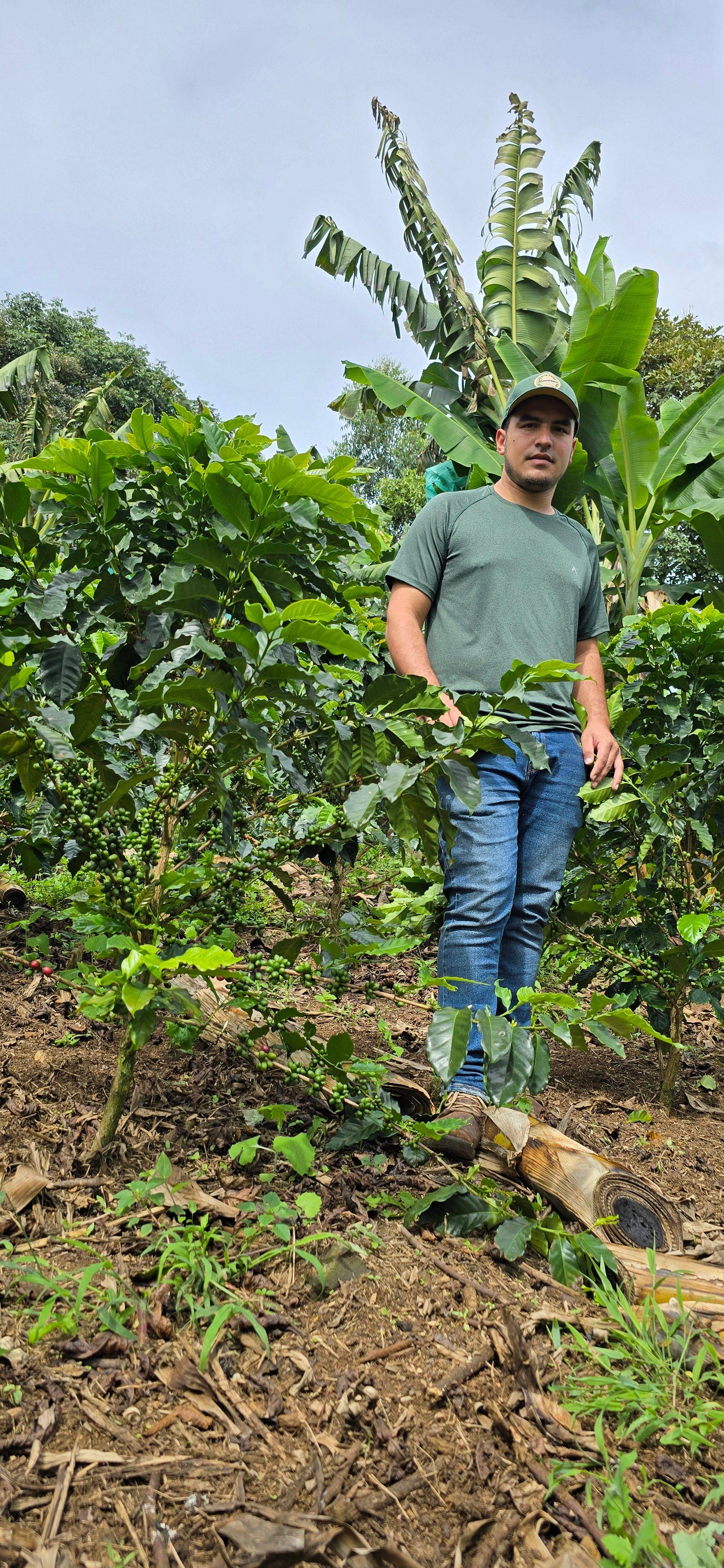 Las Brisas Coffee Farm S.A.S. Galerie 3
