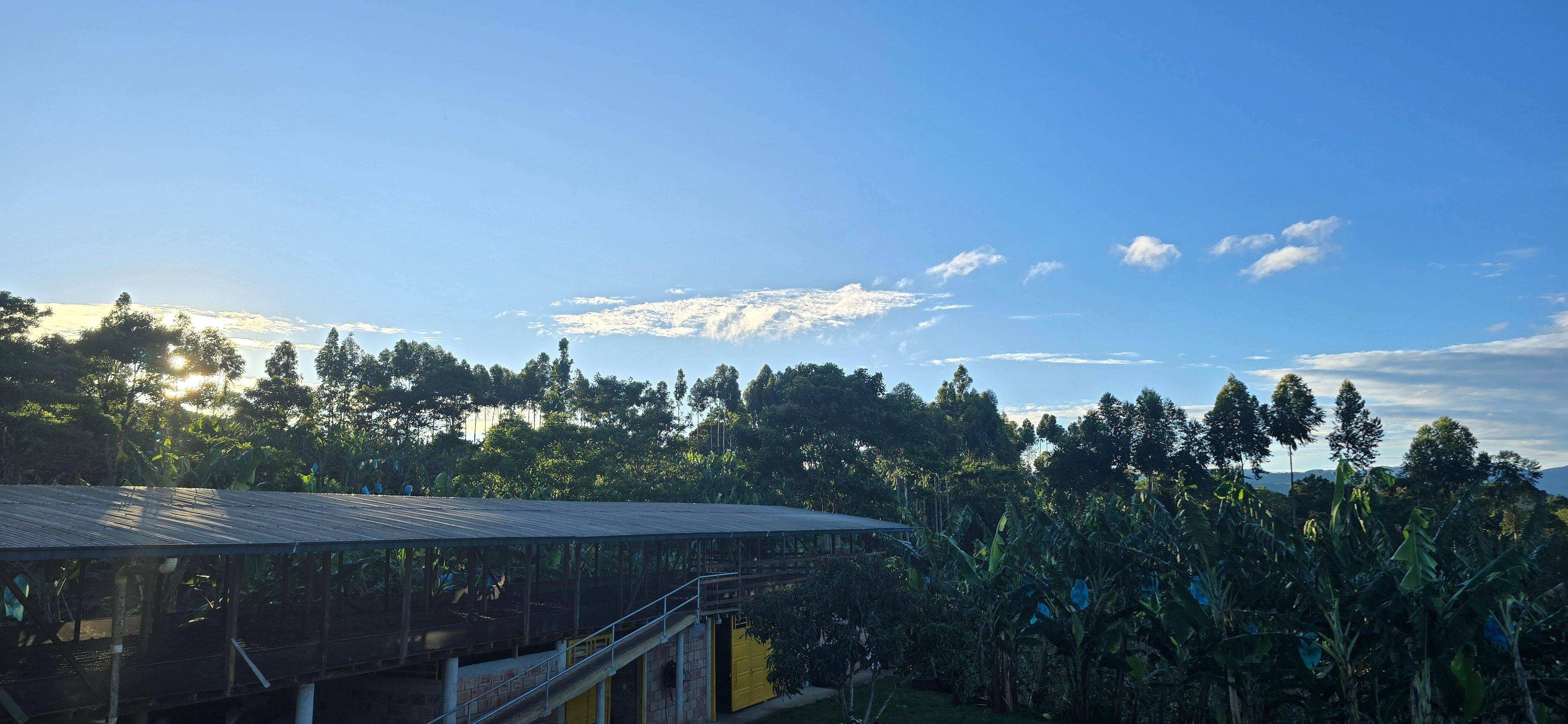 Las Brisas Coffee Farm S.A.S. Galerie 6