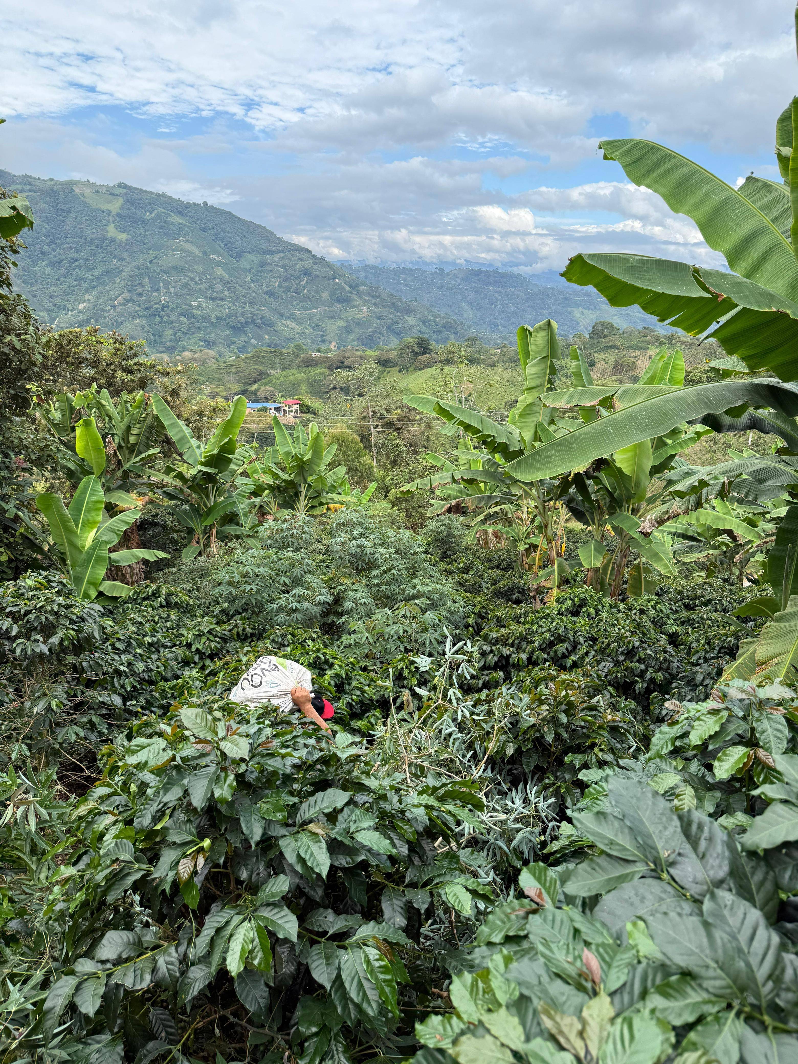 Finca La Siberia Galerie 2