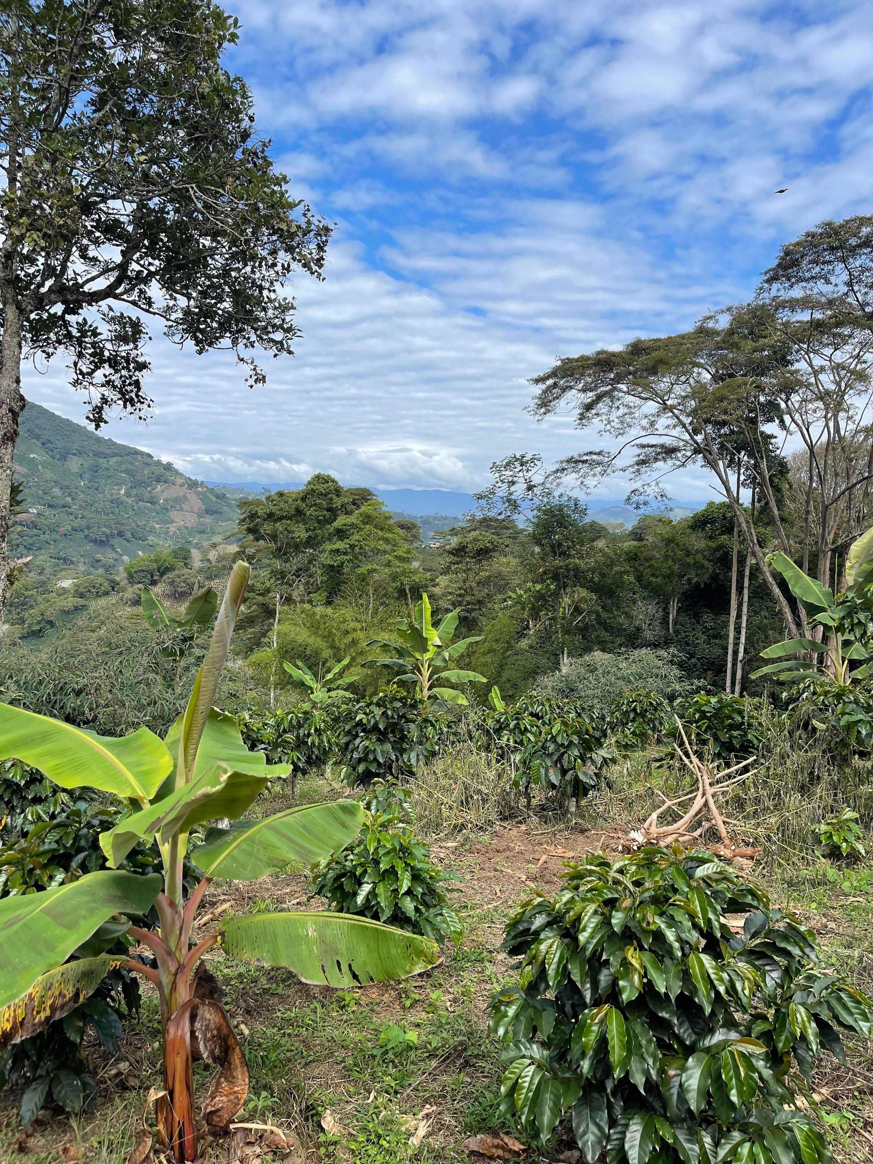 Finca La Siberia Galerie 11
