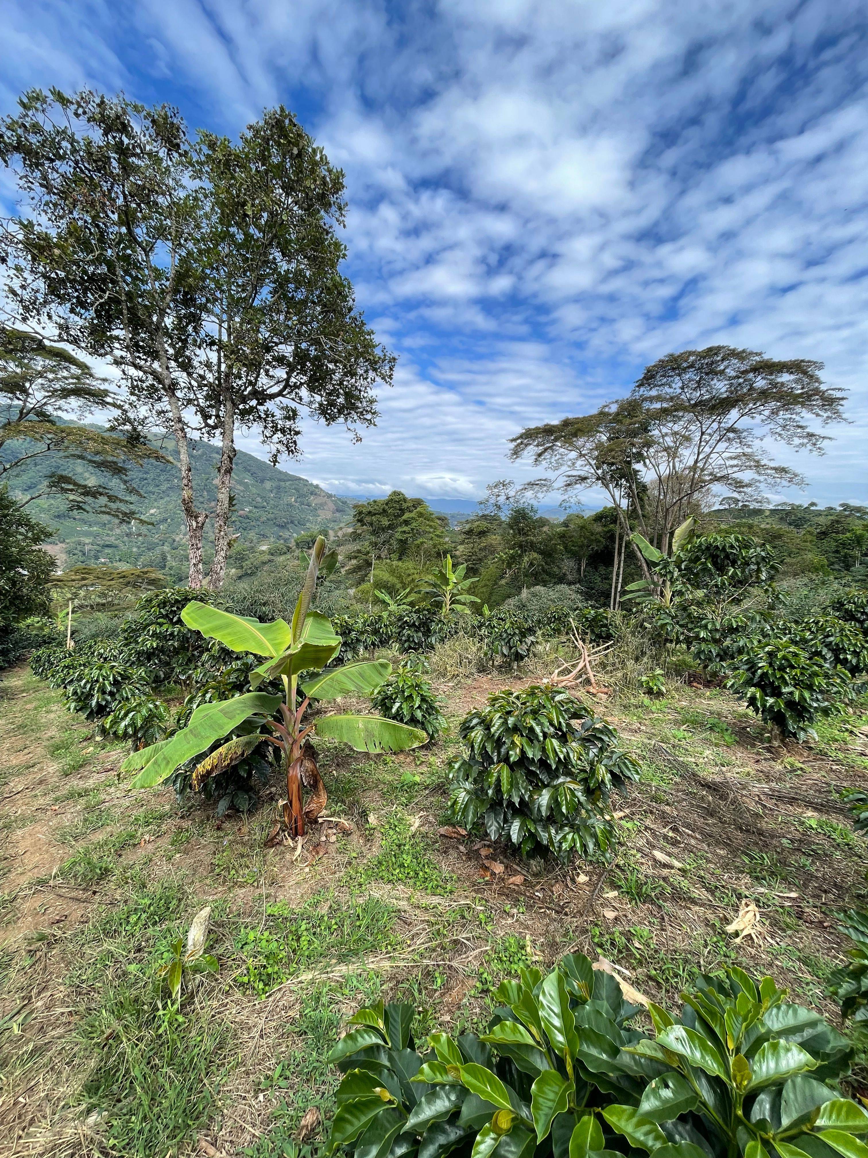 Finca La Siberia Galerie 12
