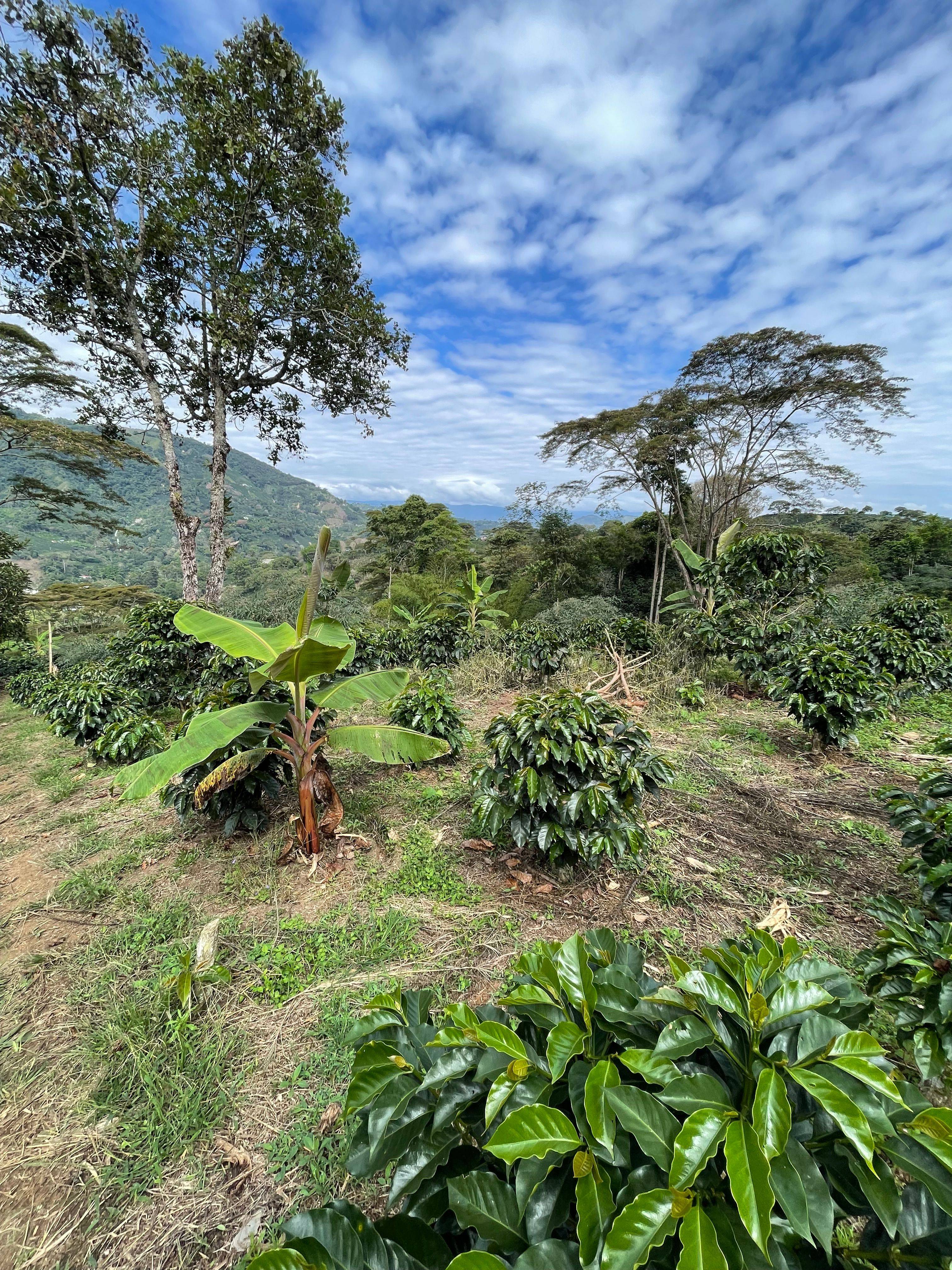 Finca La Siberia Galerie 13