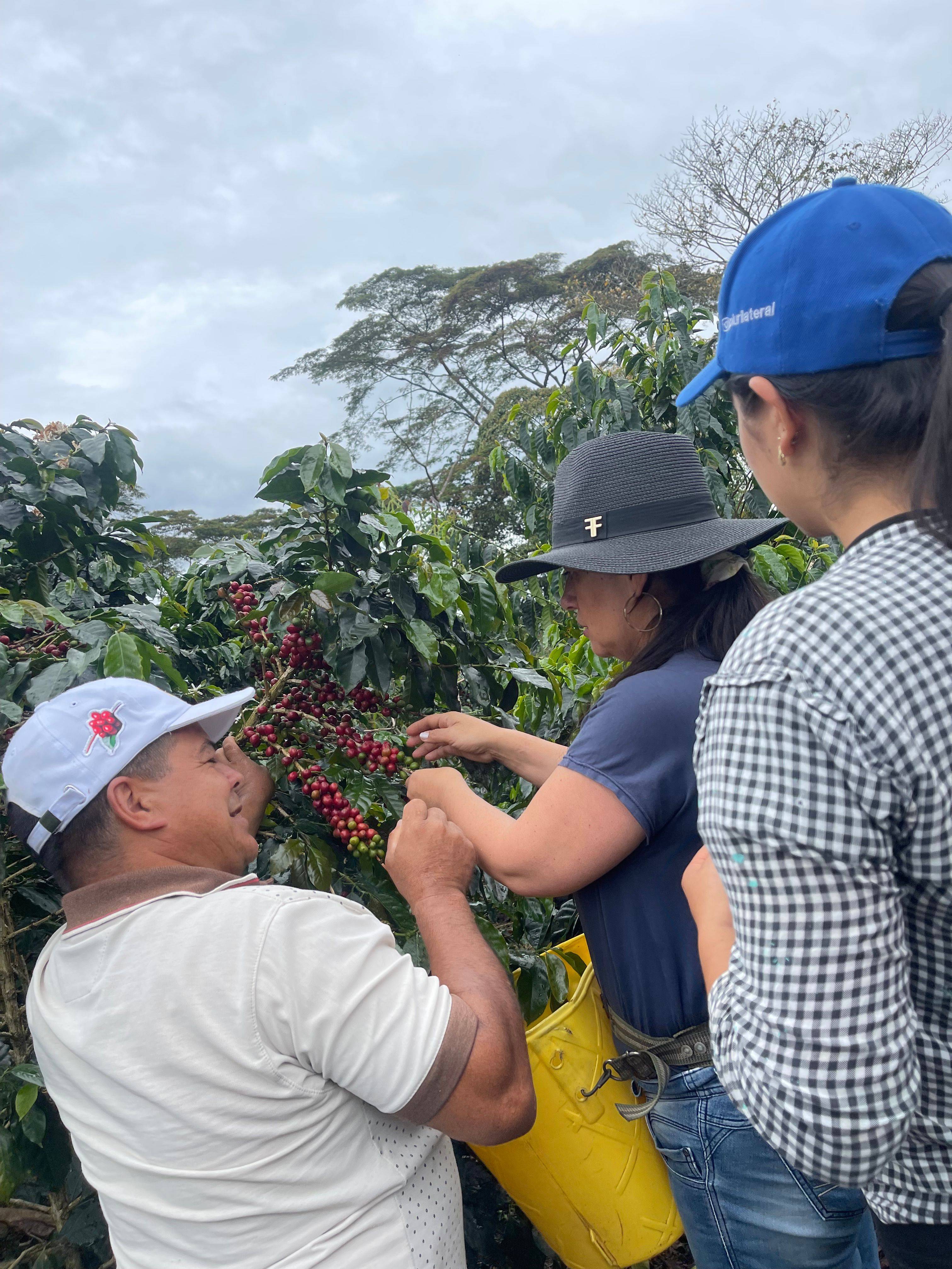 Finca La Siberia Galerie 15