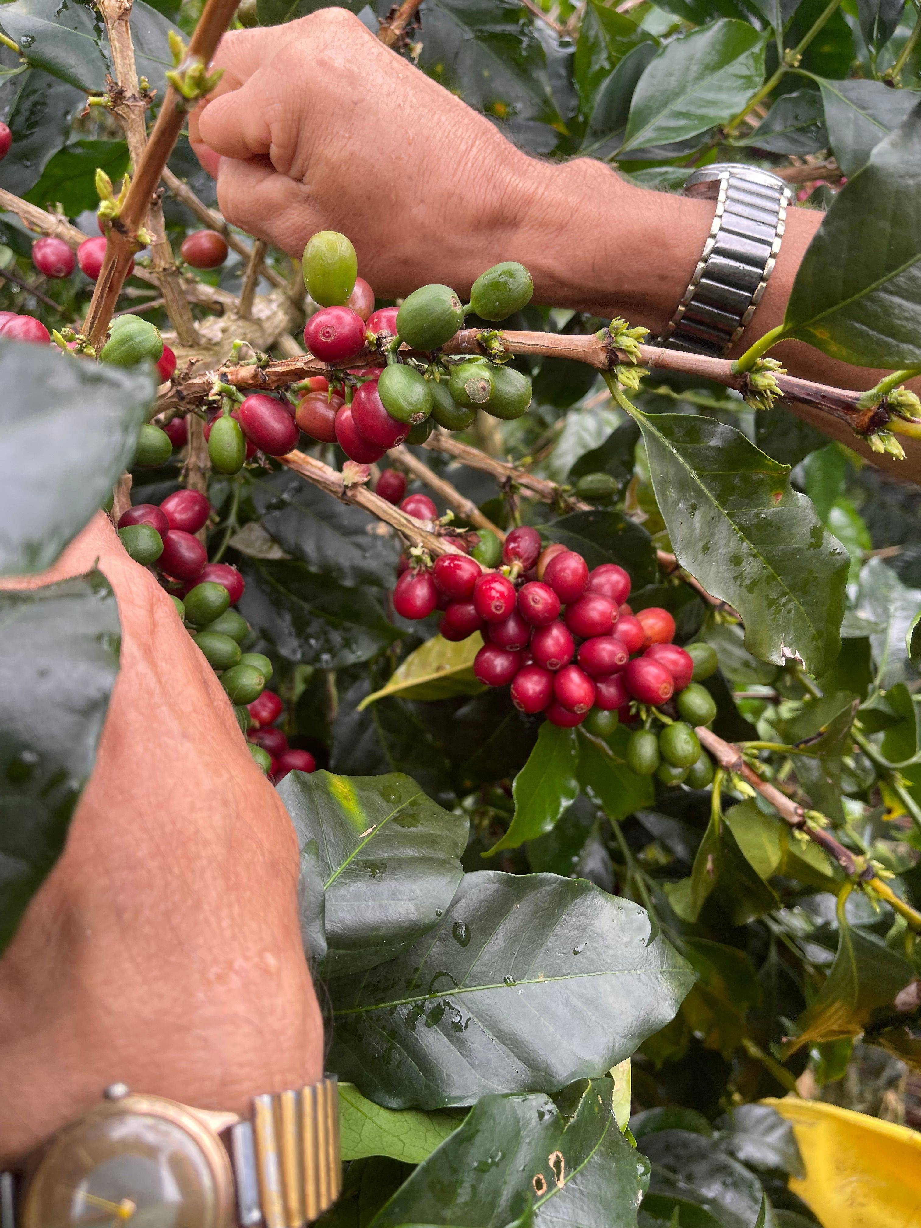 Finca La Siberia Galerie 16