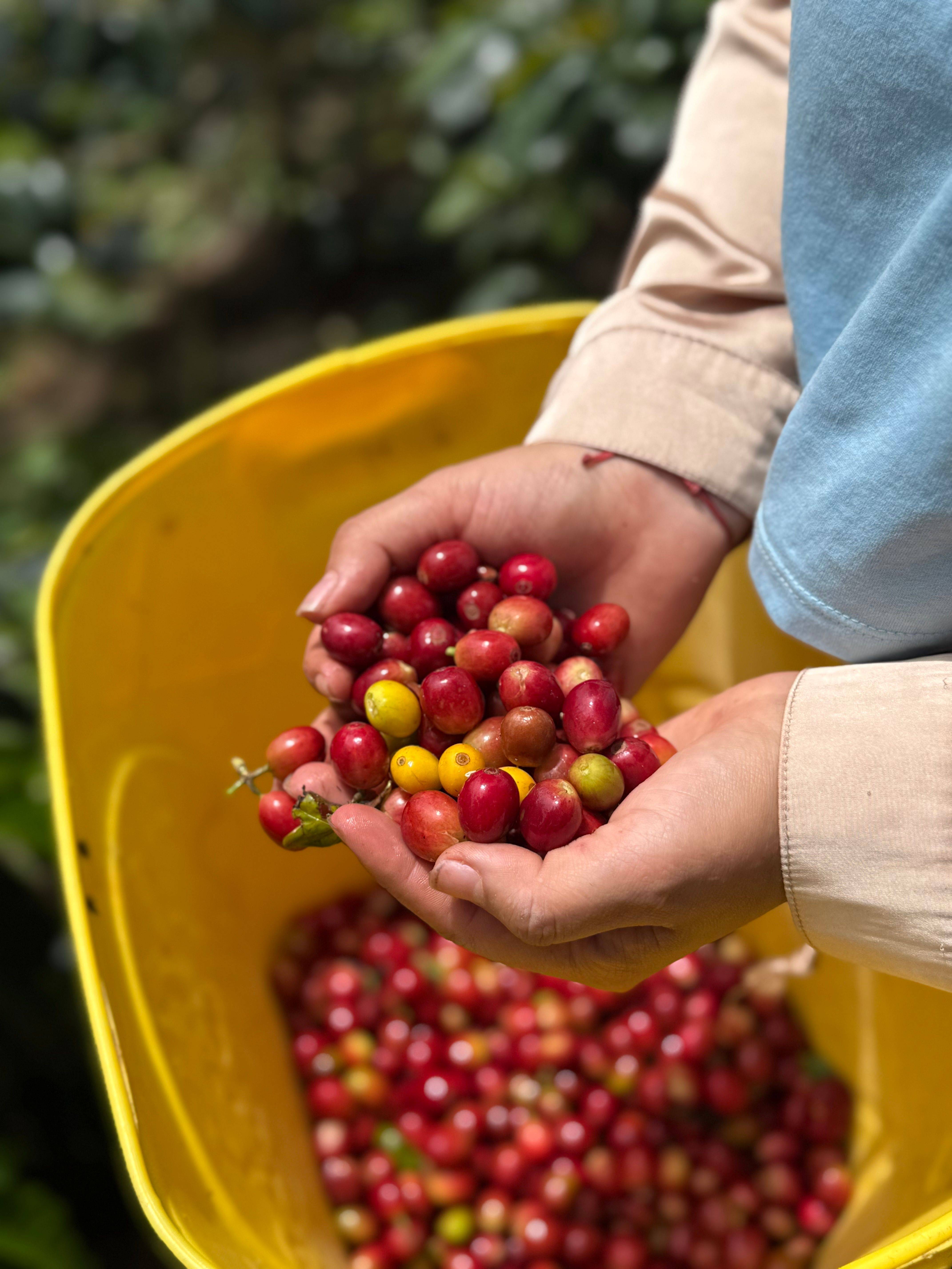 Finca La Siberia Galerie 17