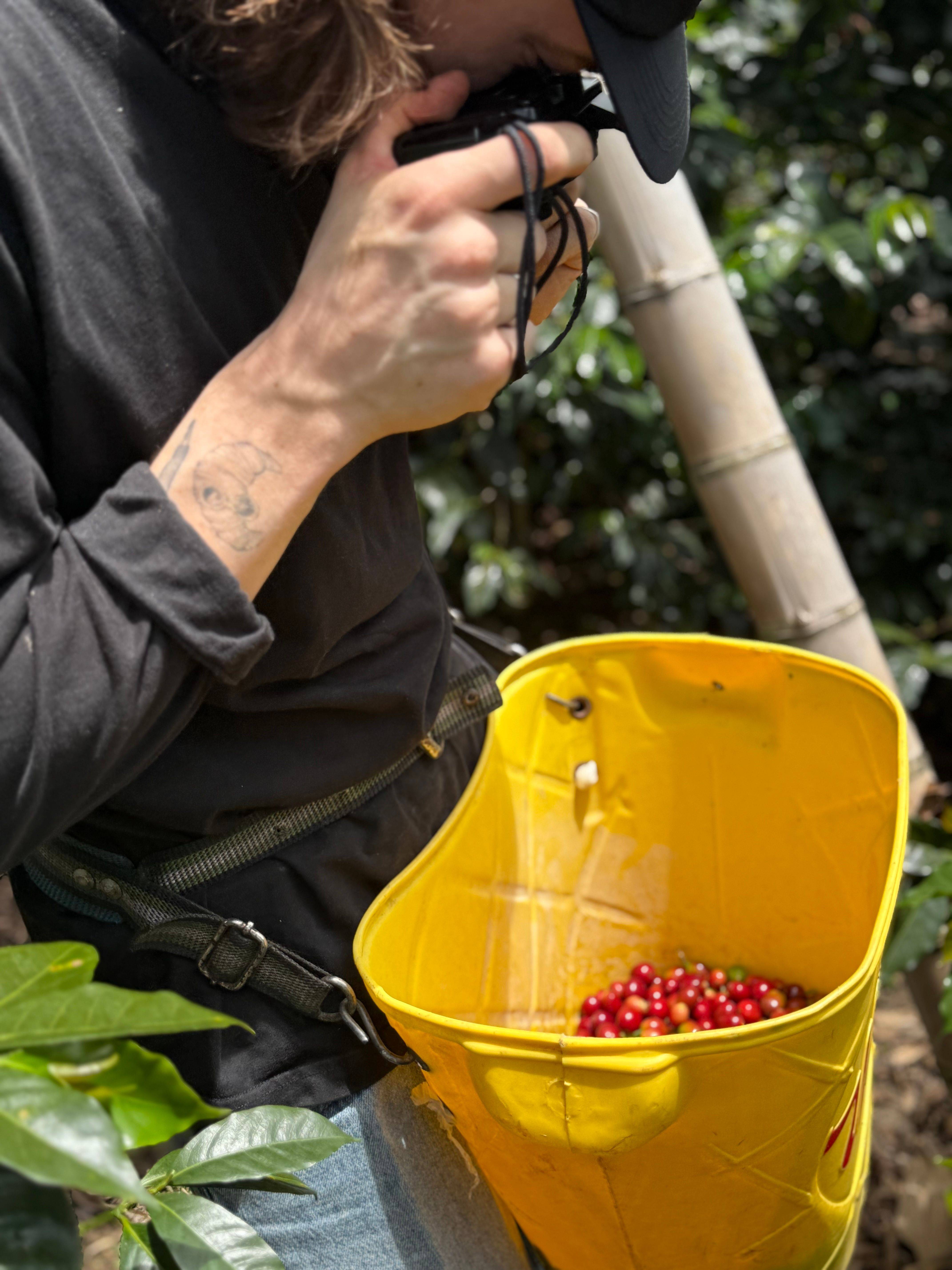 Finca La Siberia Galerie 18