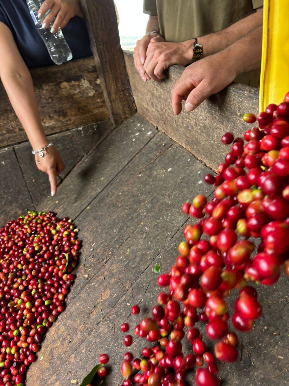 Finca La Siberia Galerie 3