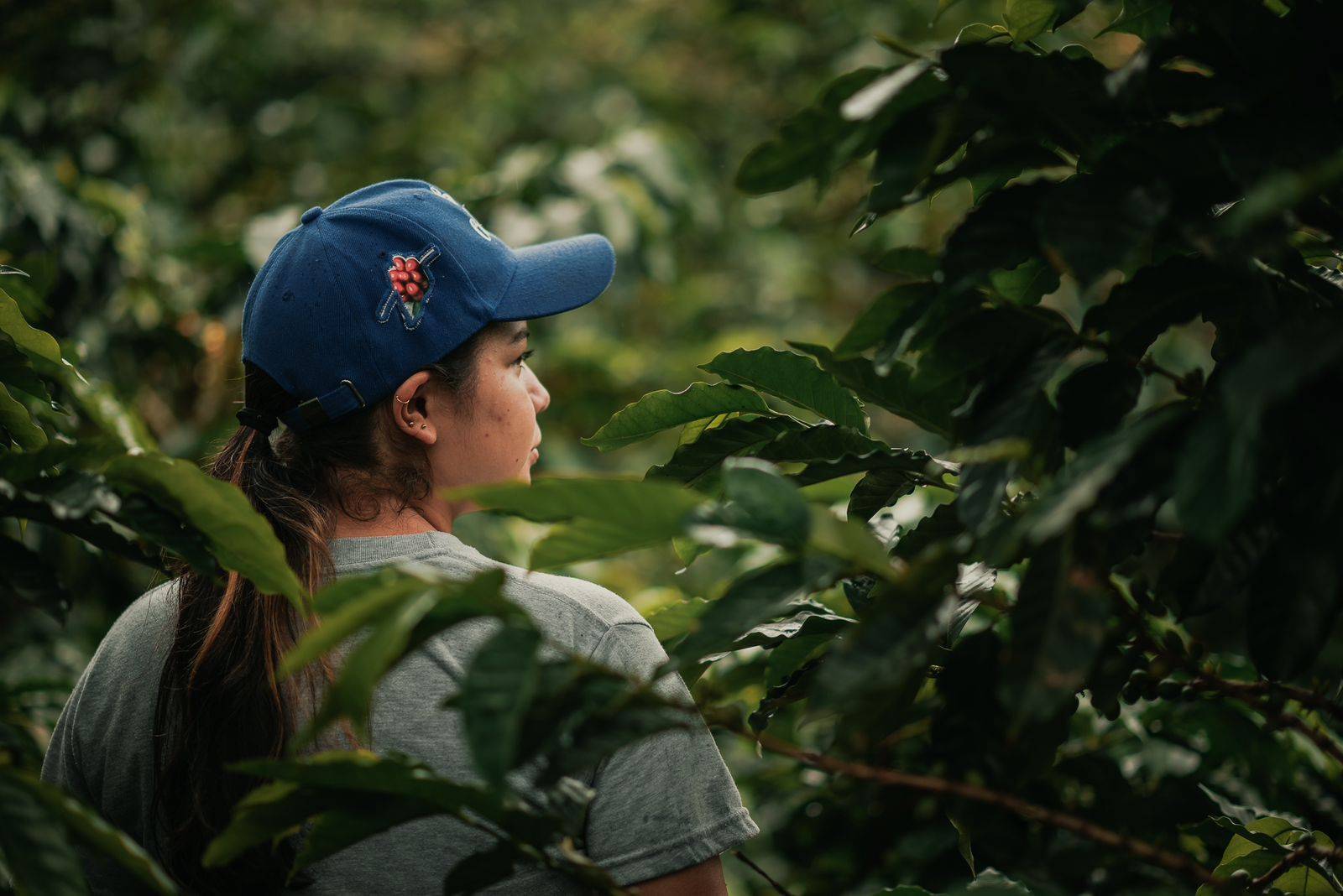 Finca La Siberia Galerie 5