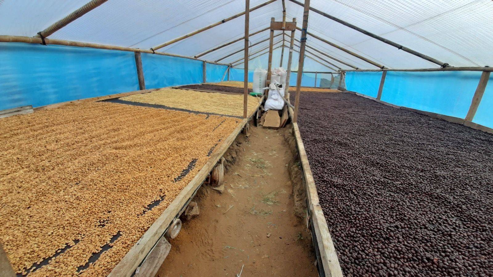 La Aldea Galerie 4