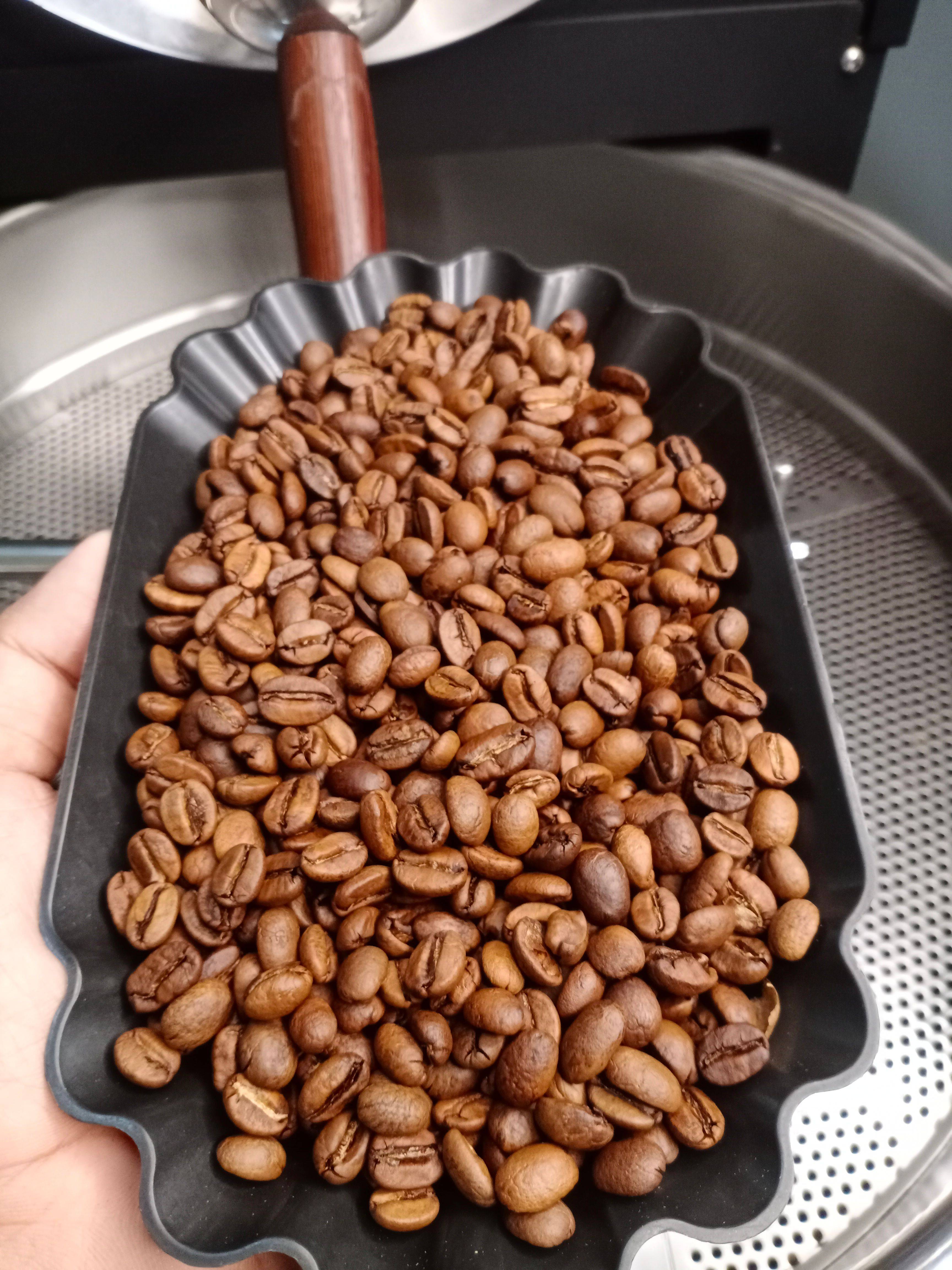 Indonesian specialty coffee from RKI Farm in Java